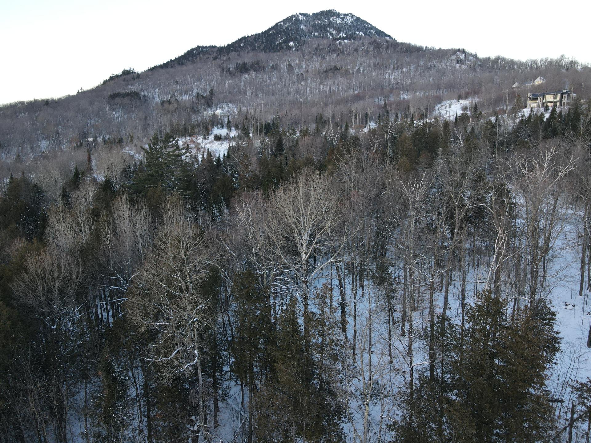 Vis à vis le terrain,,, derrière Owl's Head