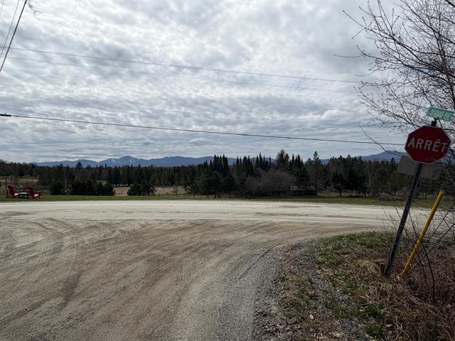 Overall View