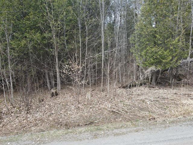 Overall View