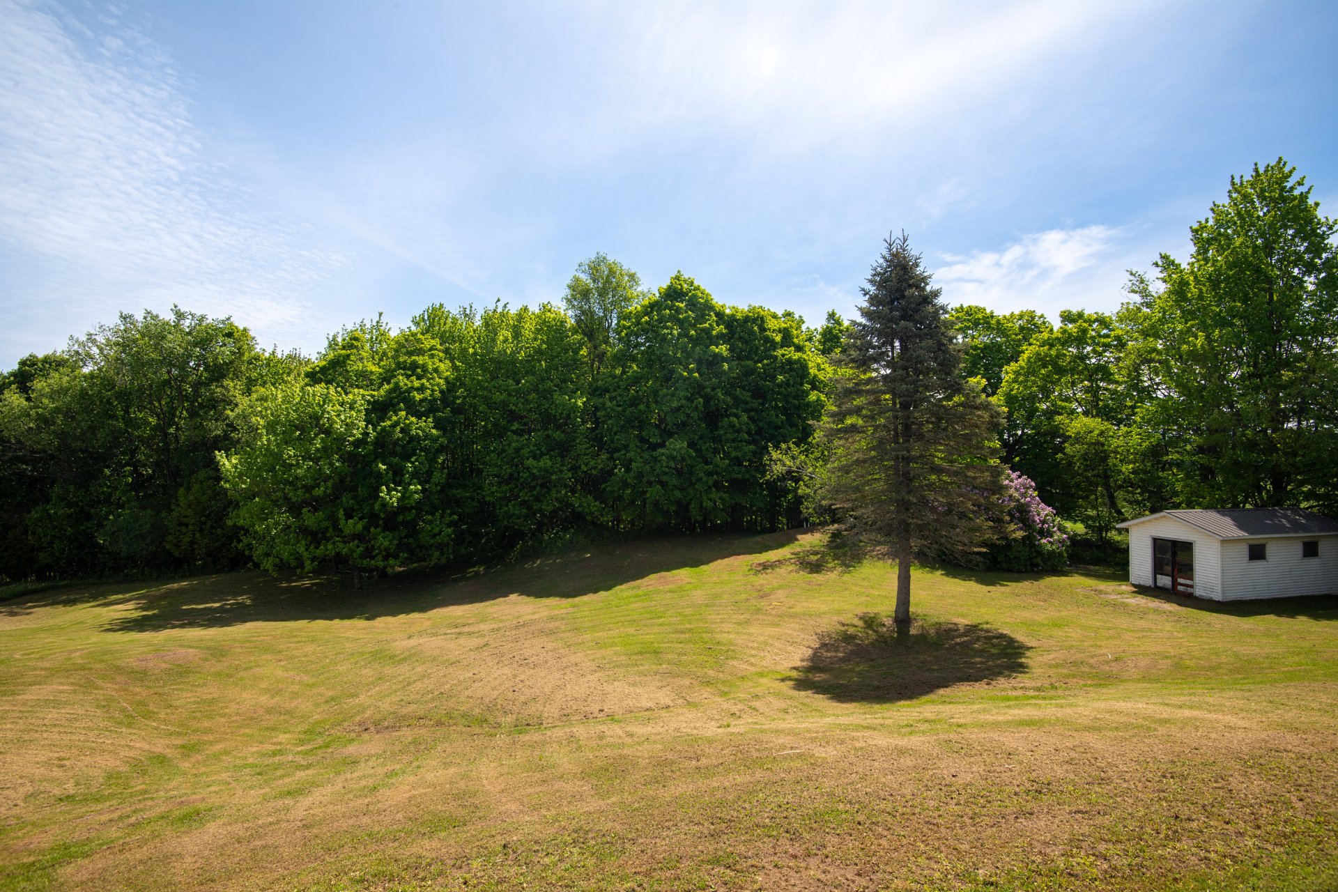 Terre/Terrain
