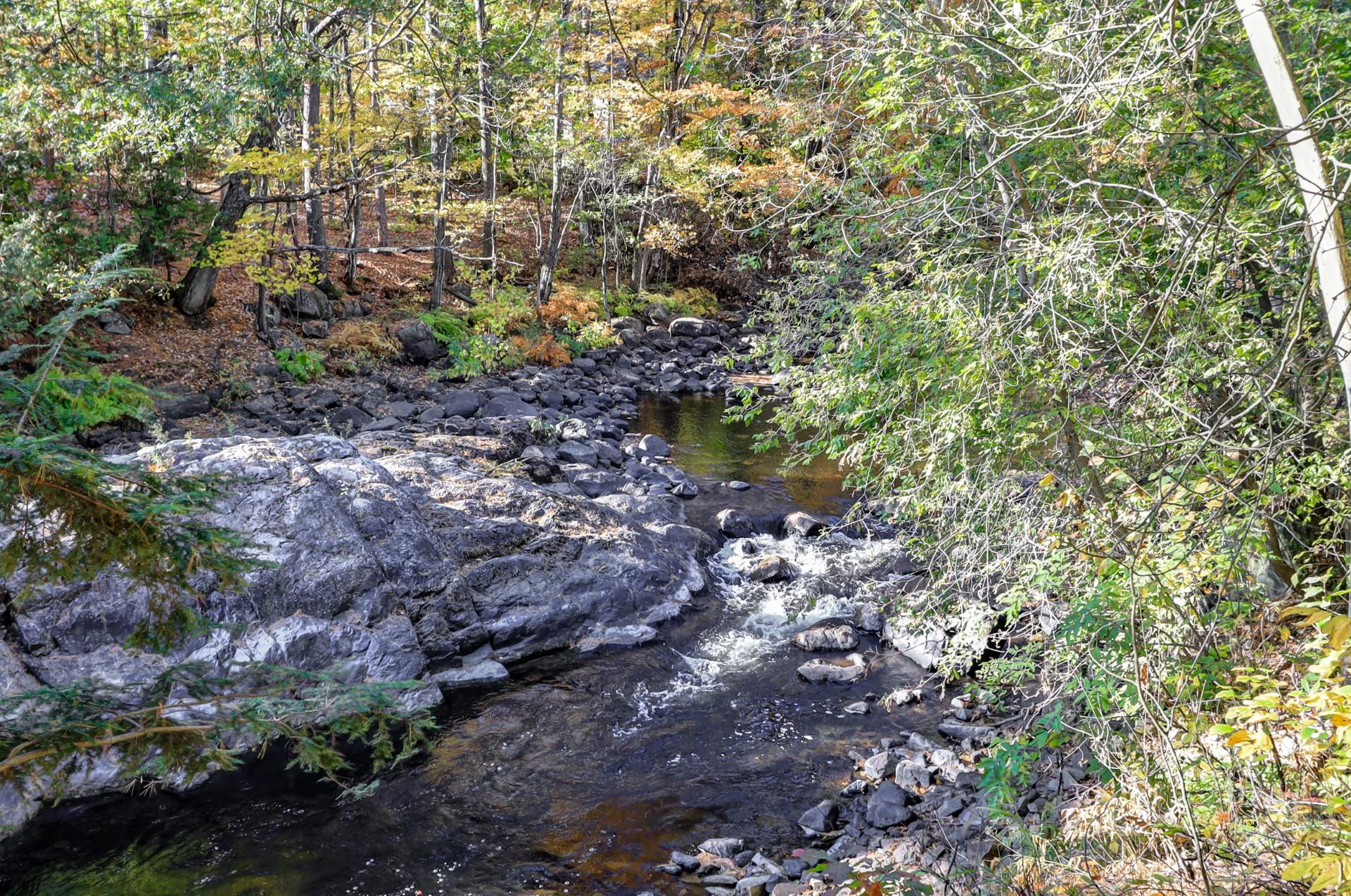 Accès au plan d'eau