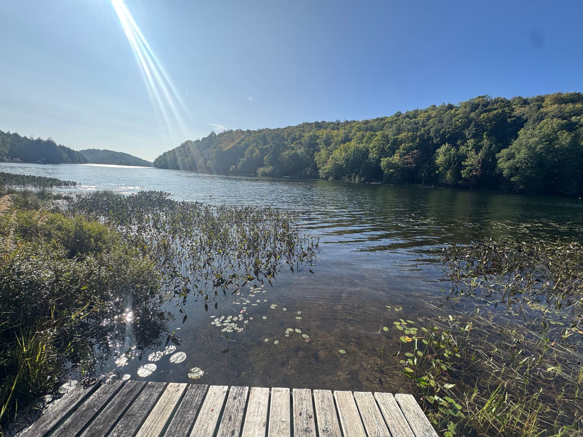 Bord de l'eau