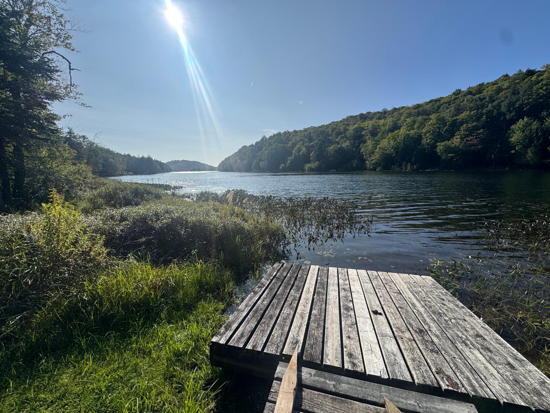 Bord de l'eau