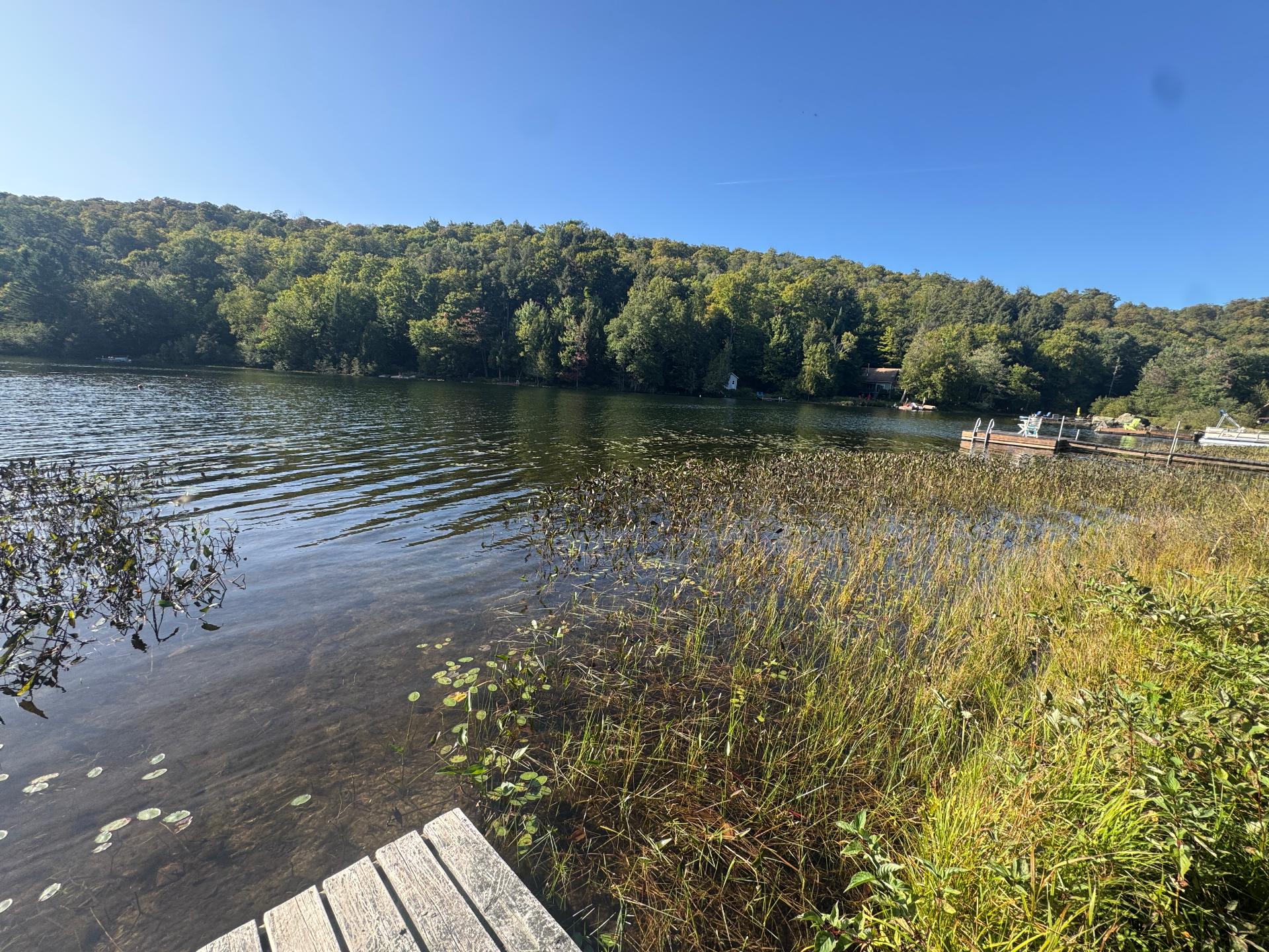 Bord de l'eau