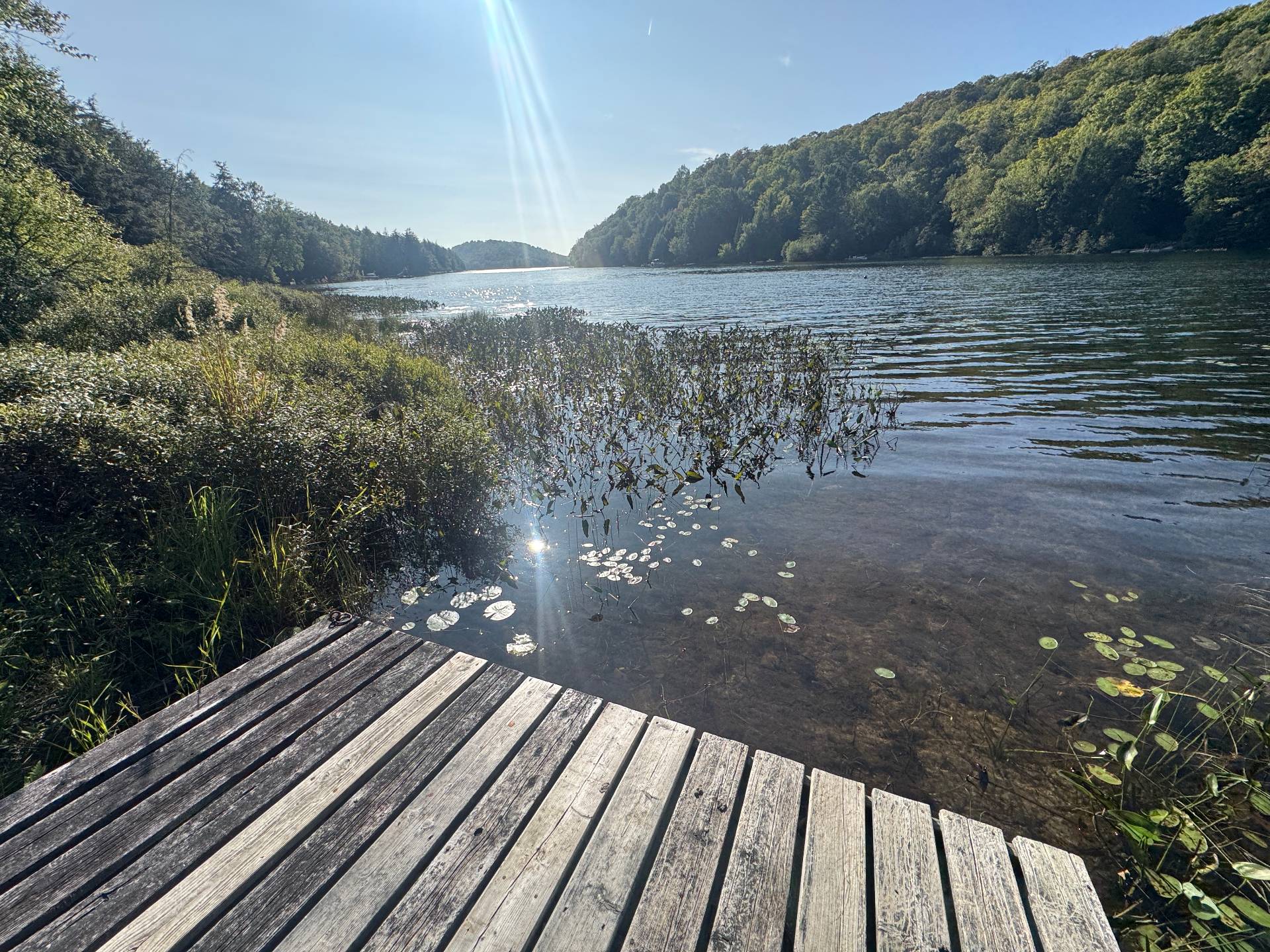 Bord de l'eau