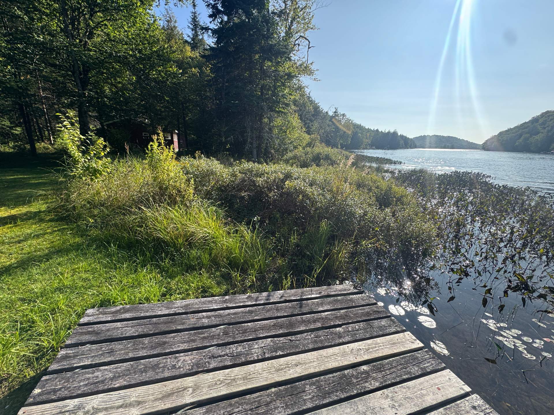 Bord de l'eau