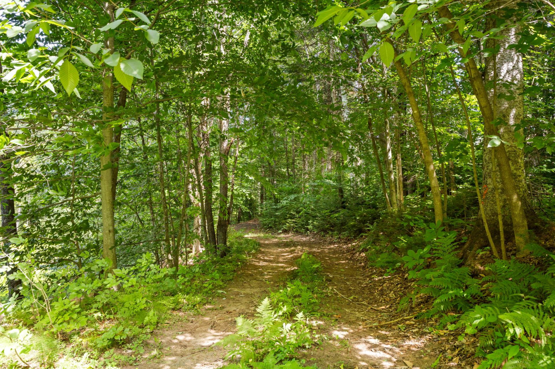 Land/Lot