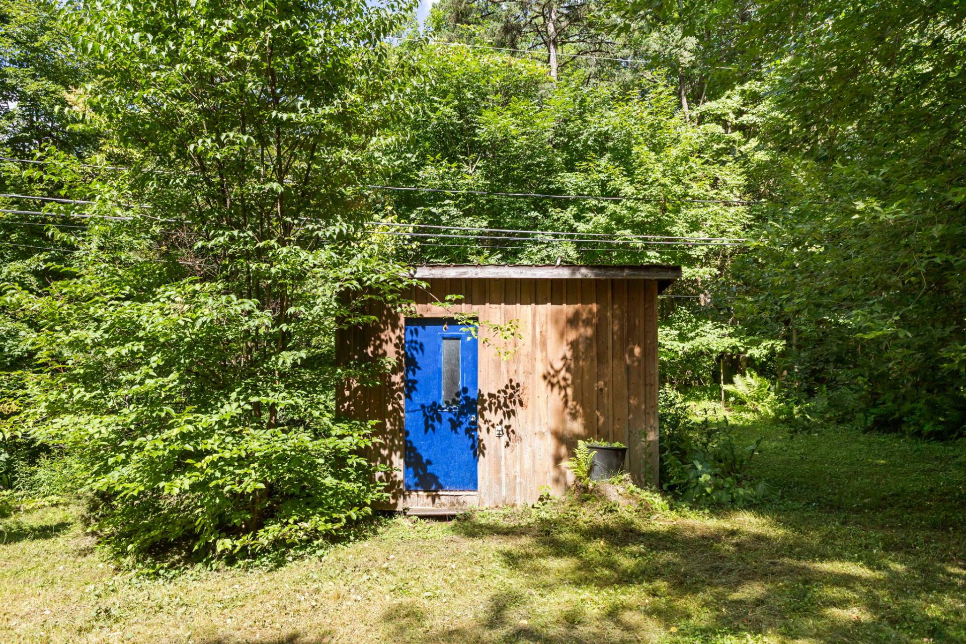 Shed