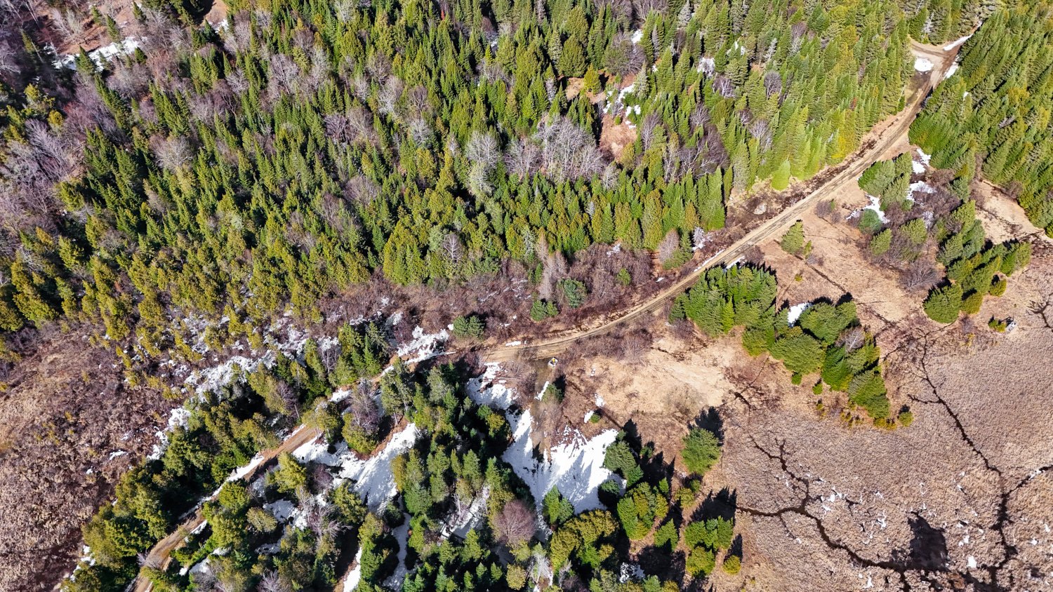 Overall View