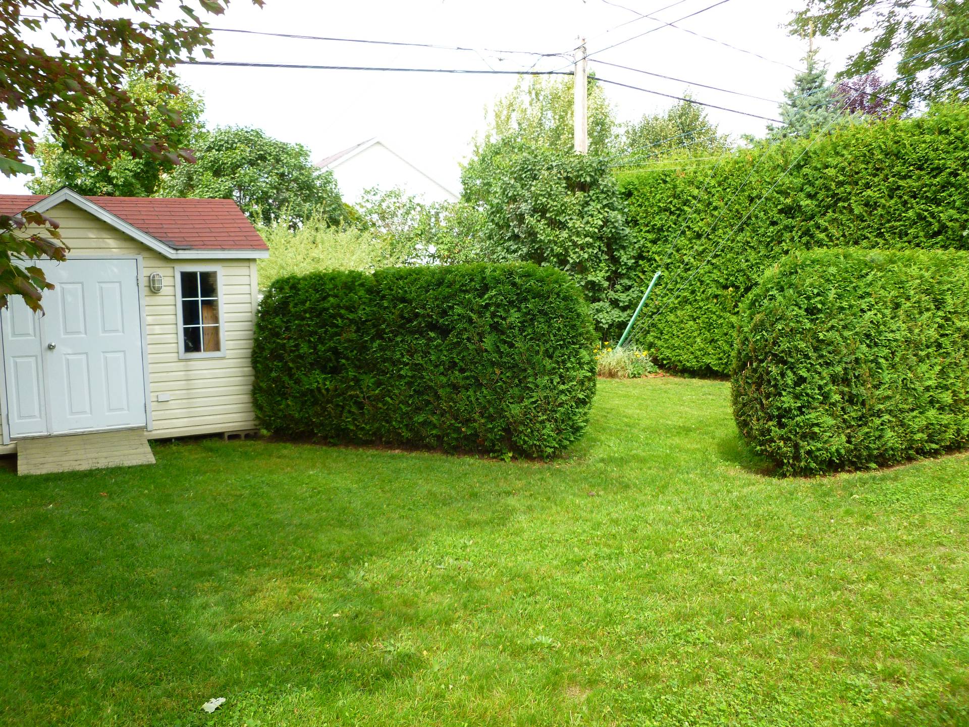 Photo fournie par le vendeur