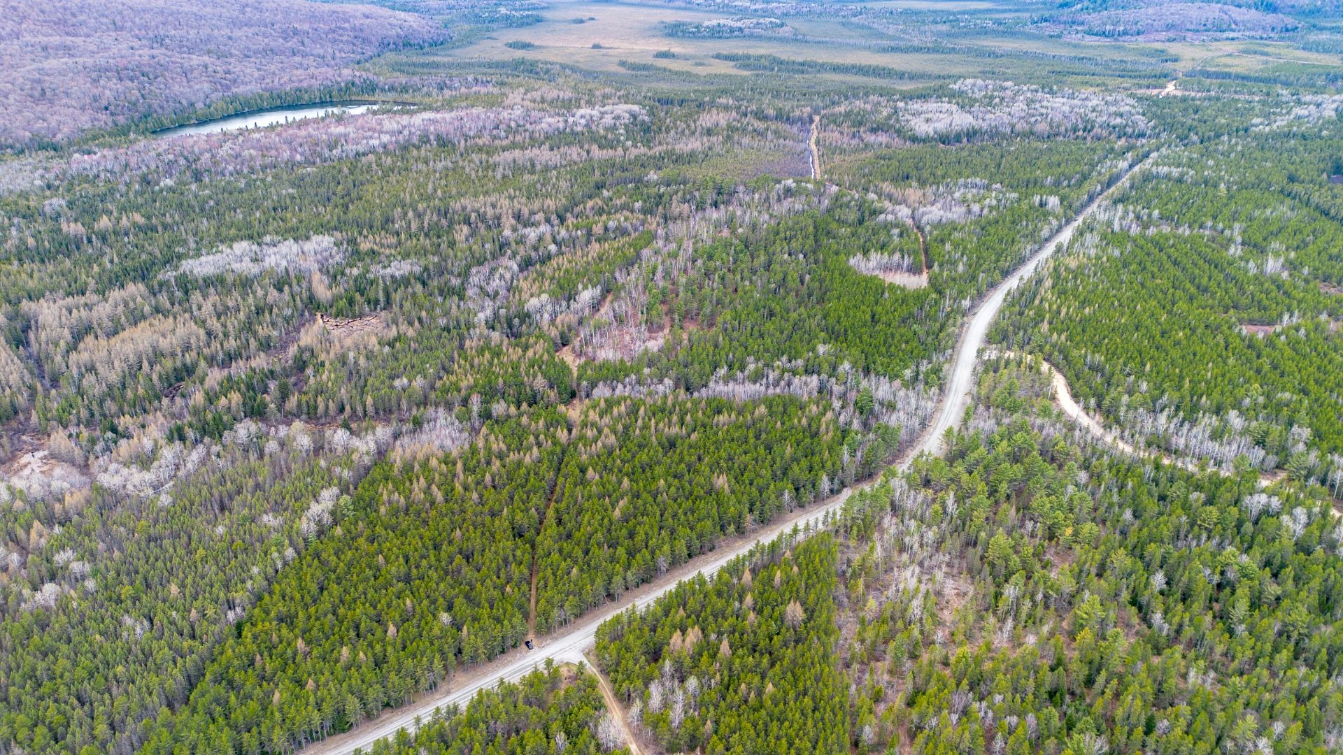 Aerial photo