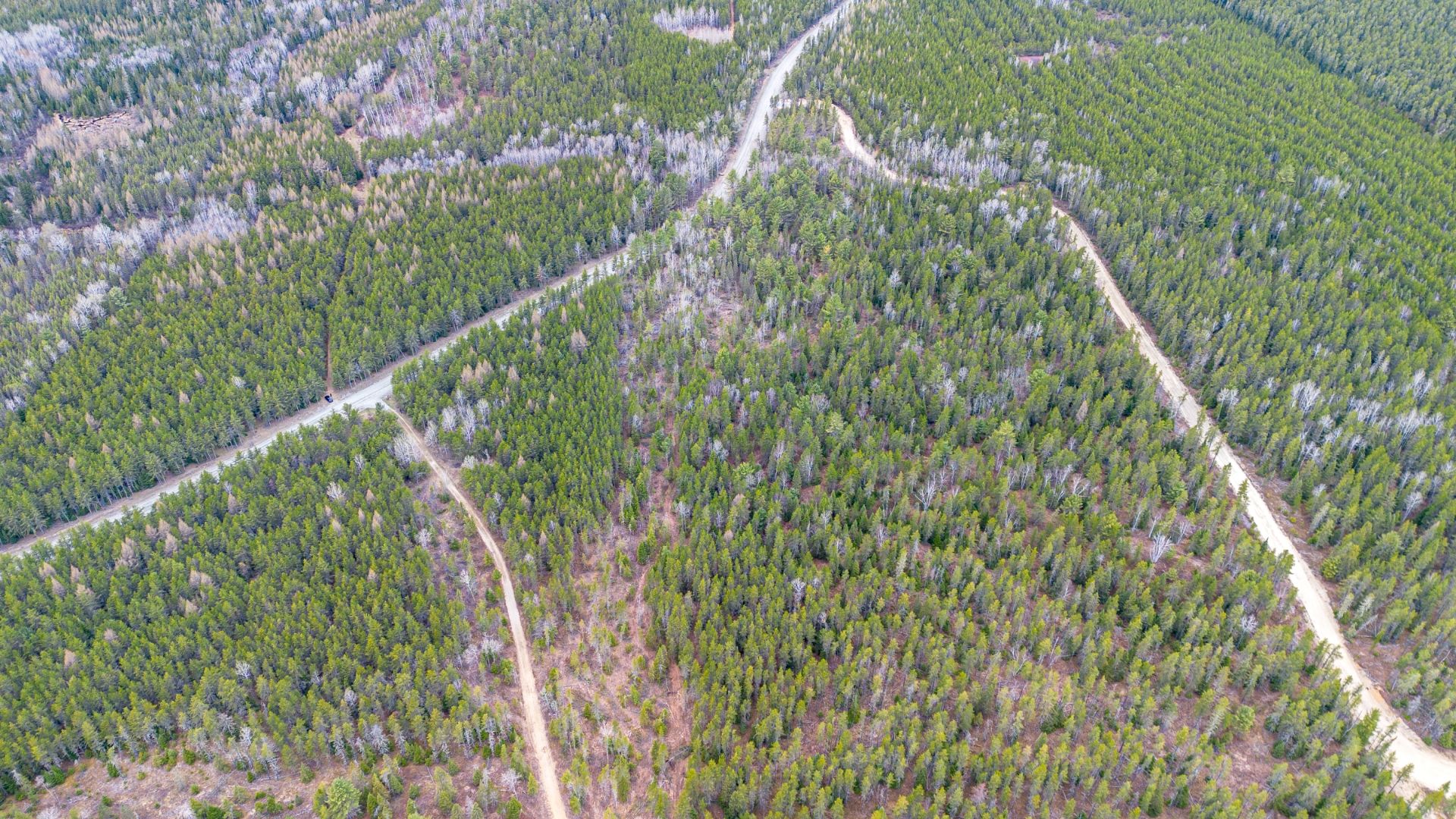 Aerial photo