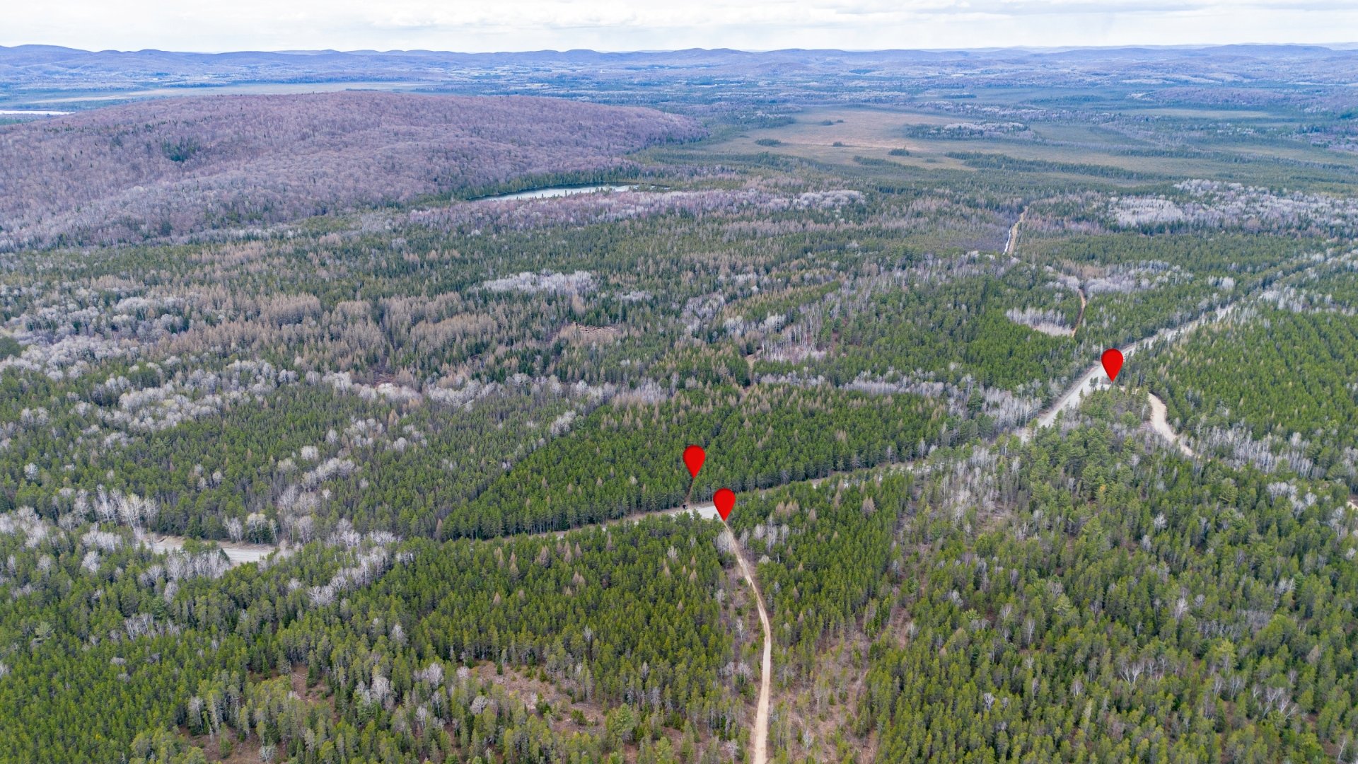 Aerial photo