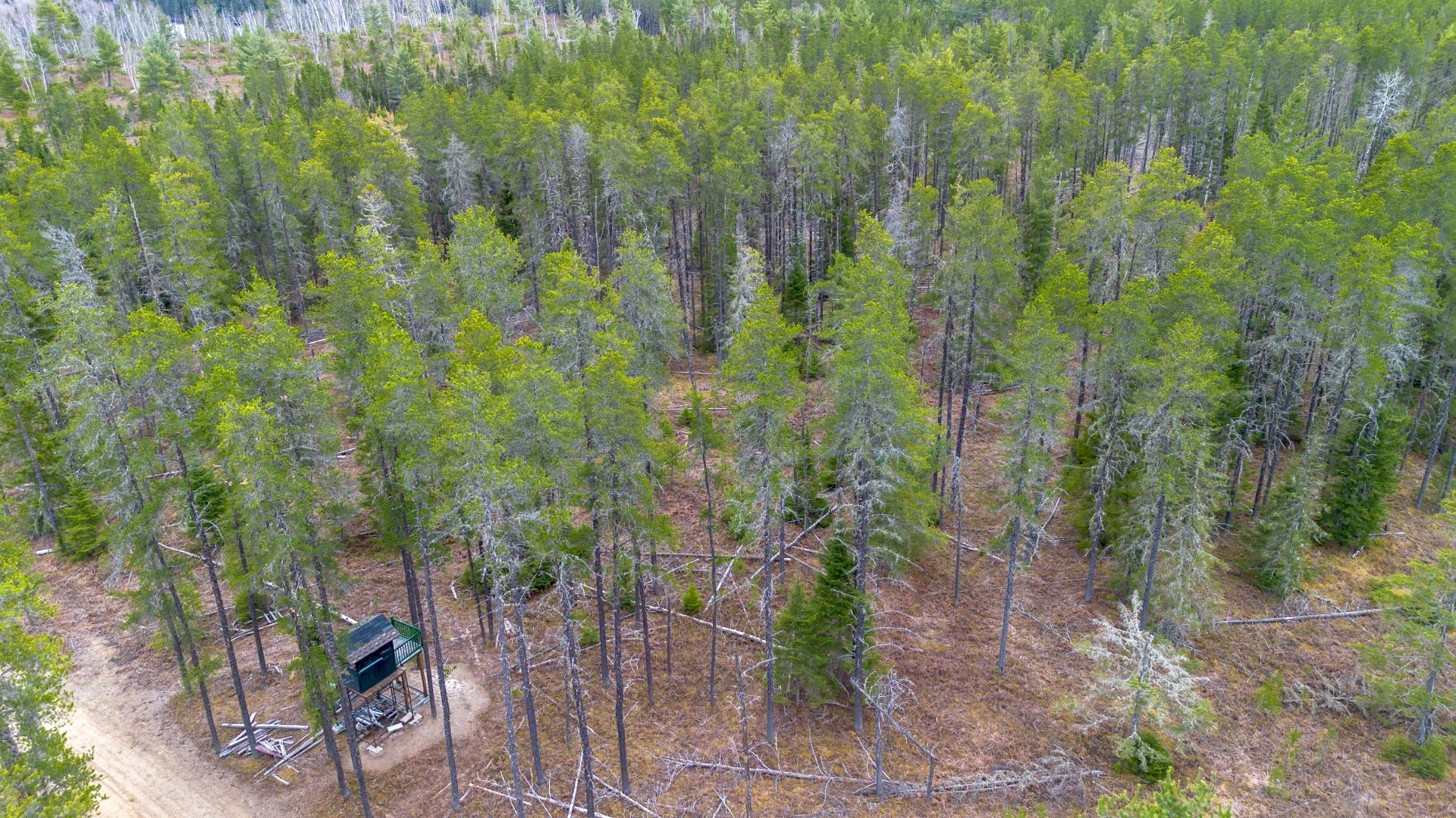 Aerial photo