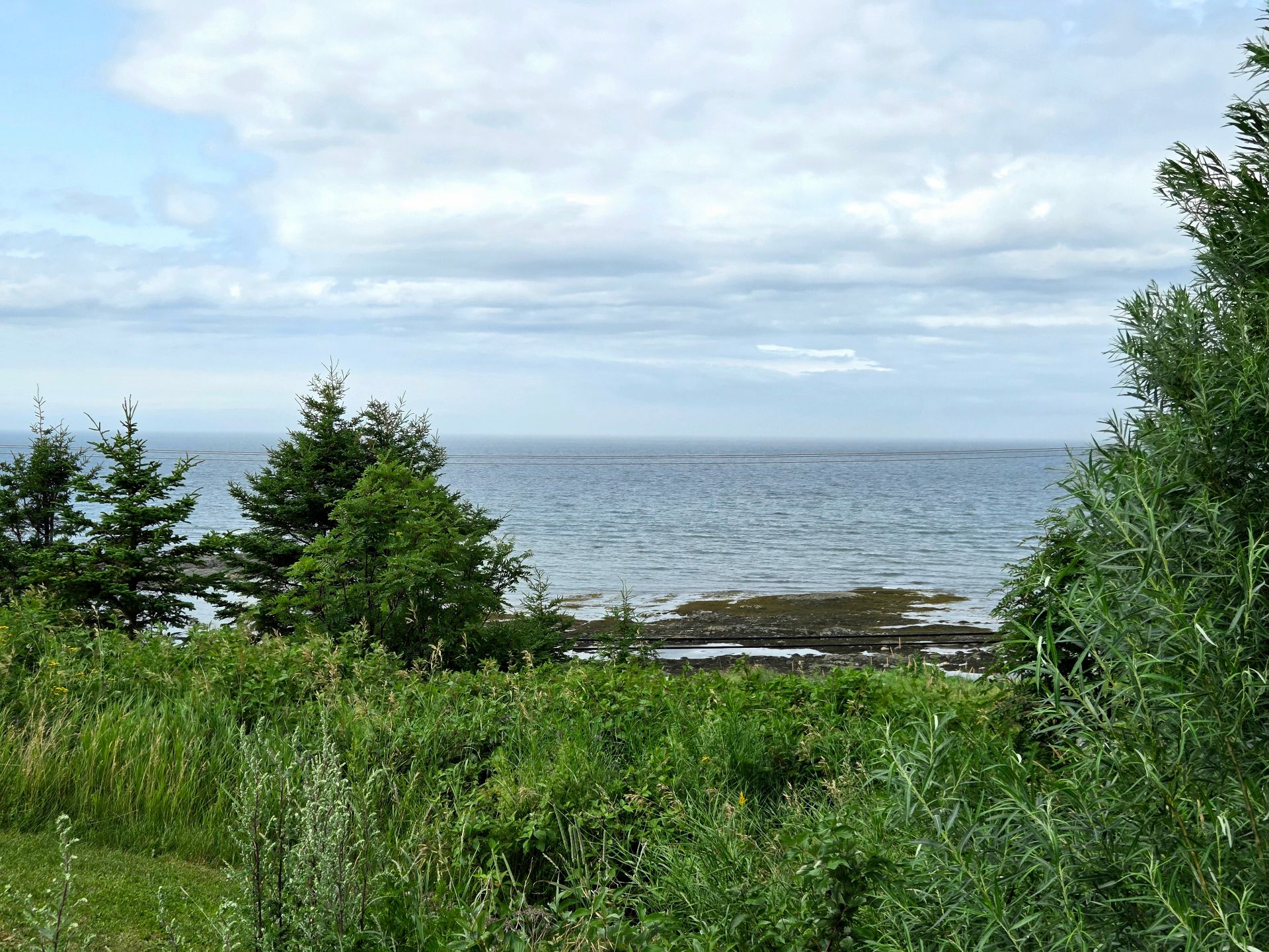 Water view