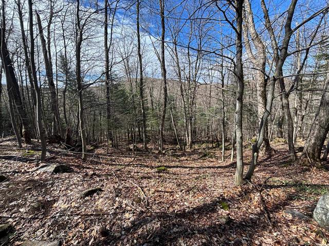 Land/Lot