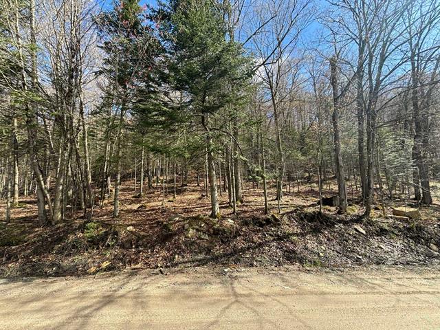 Land/Lot