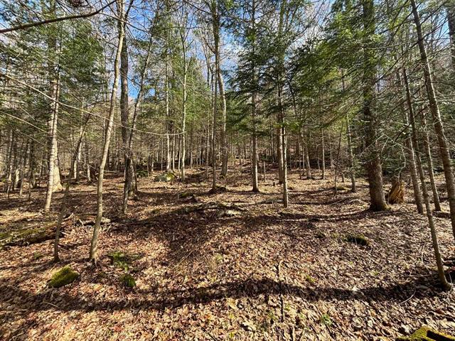 Land/Lot