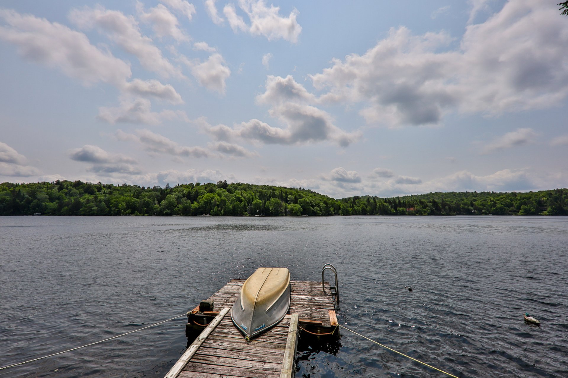Bord de l'eau