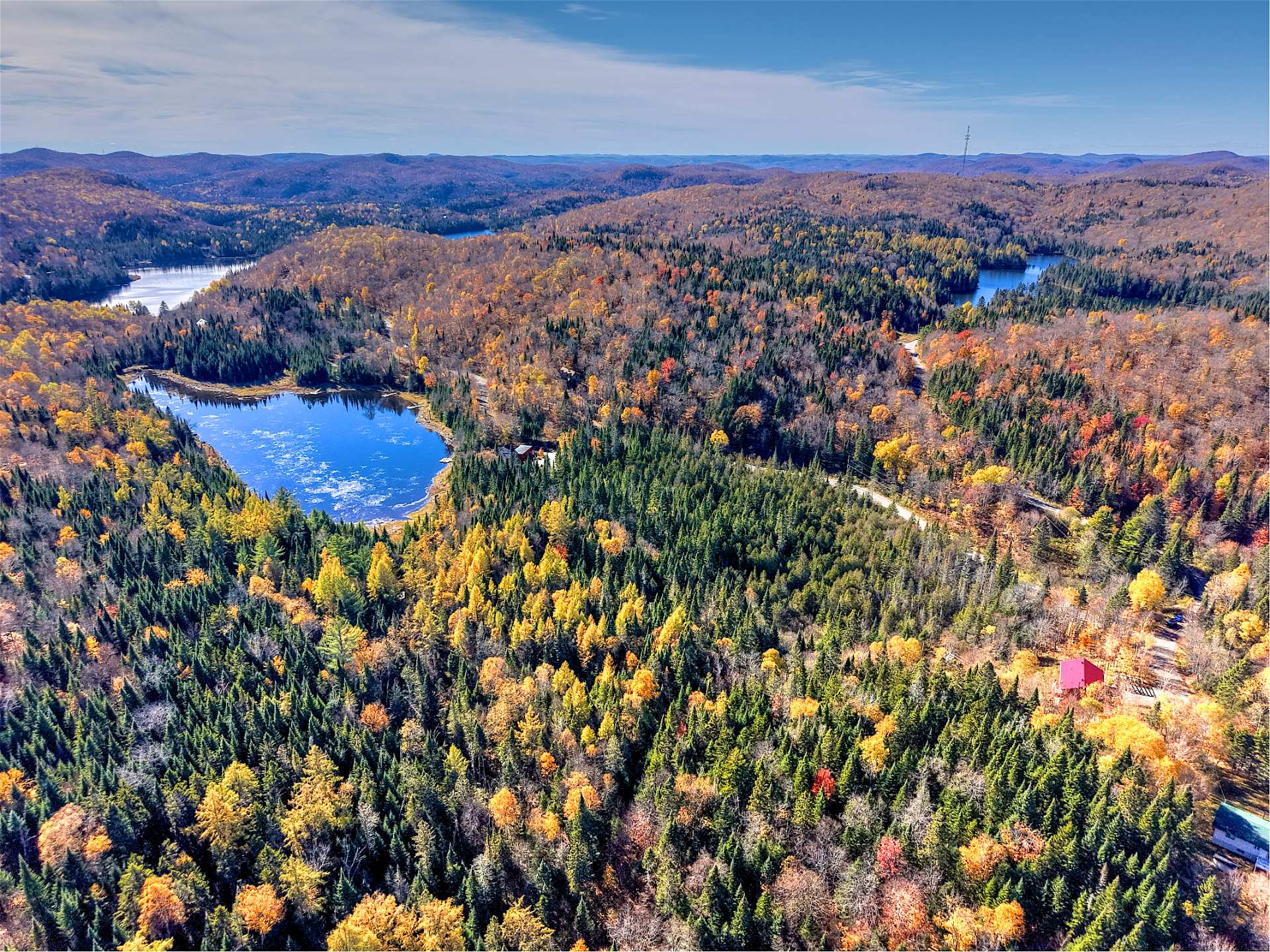 Overall View