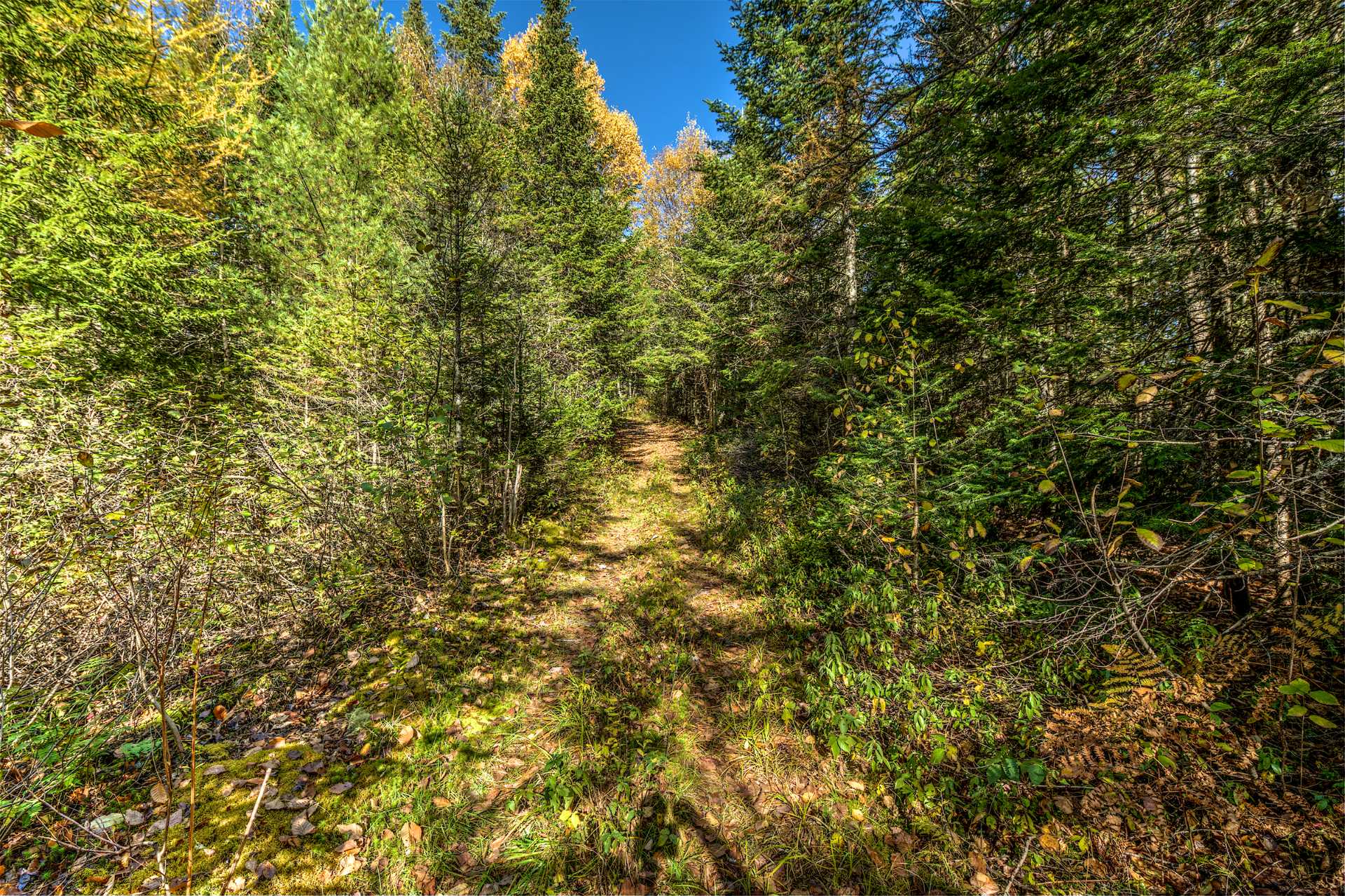 Sentier