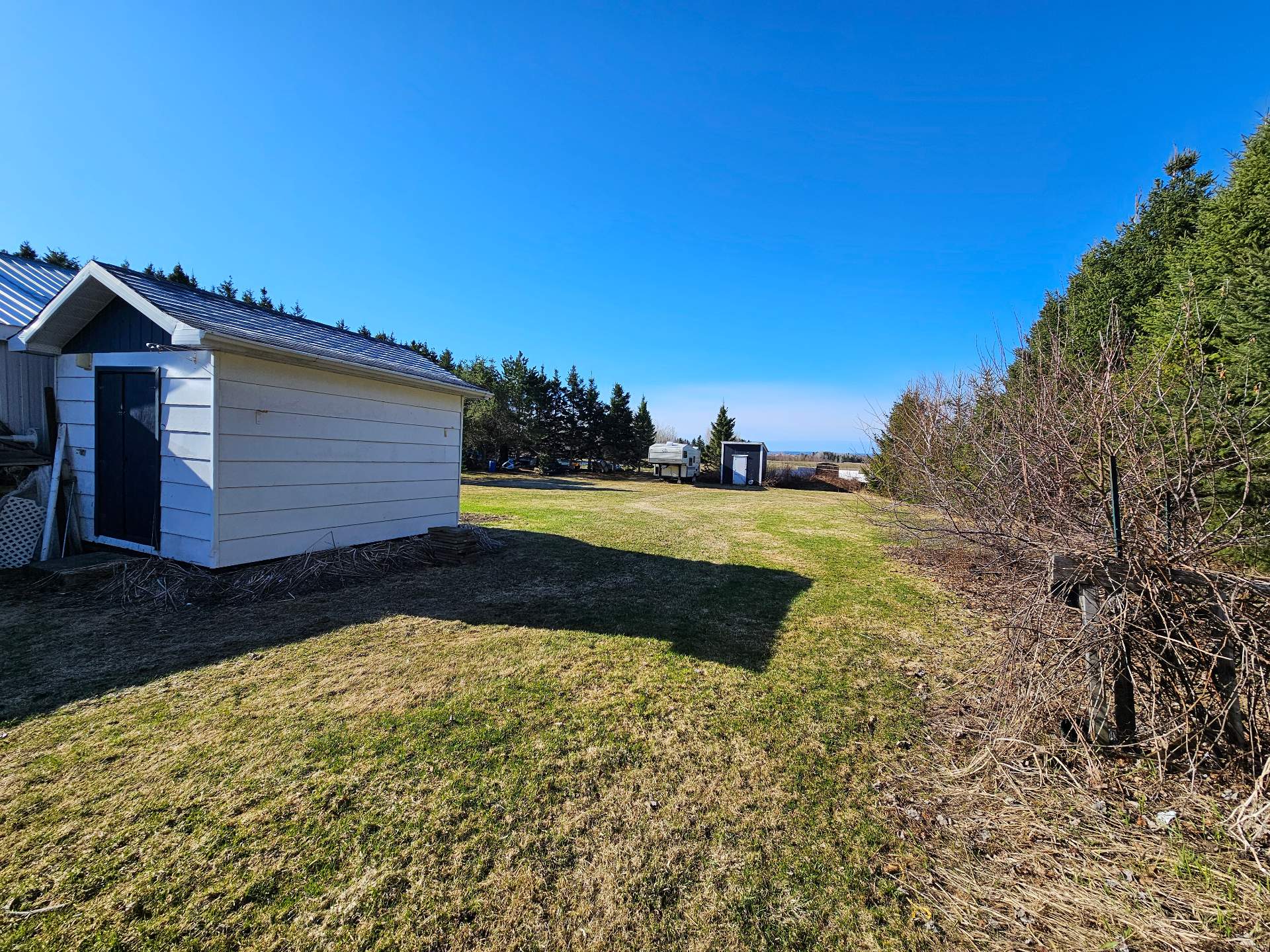 Shed