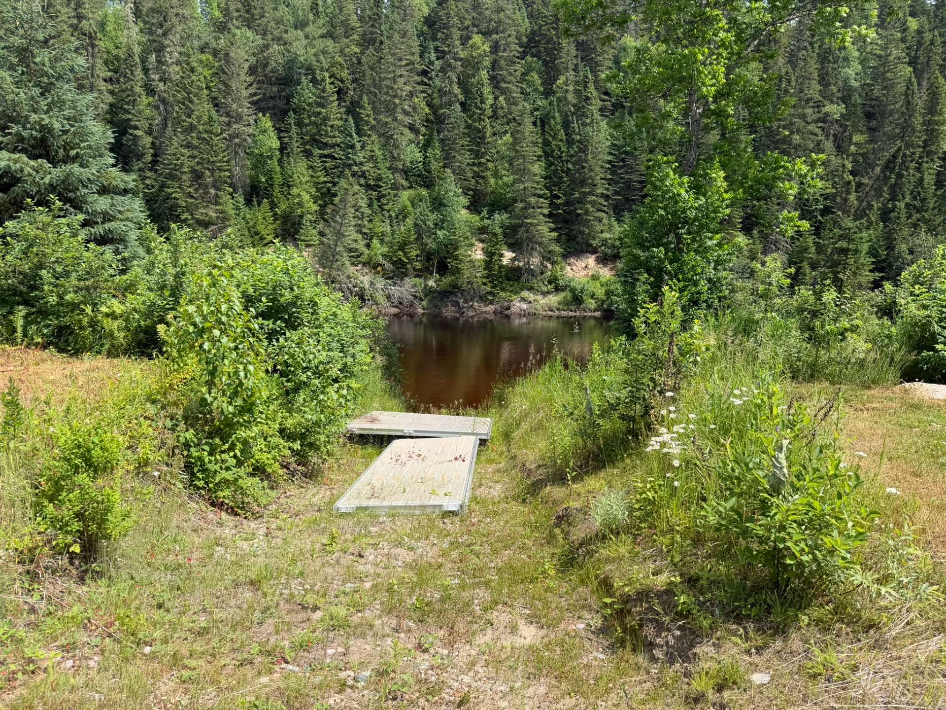 Water view