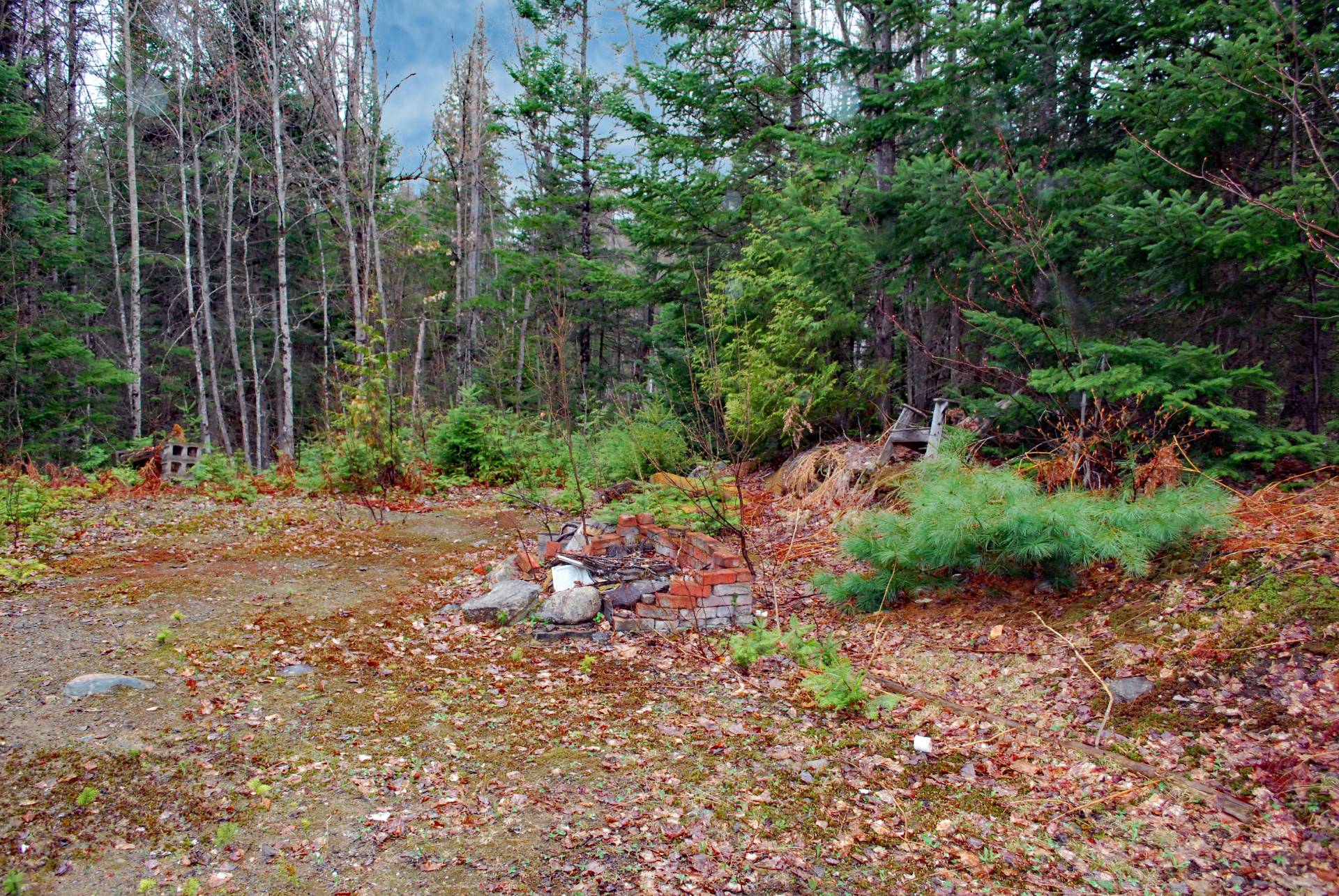 Terre/Terrain
