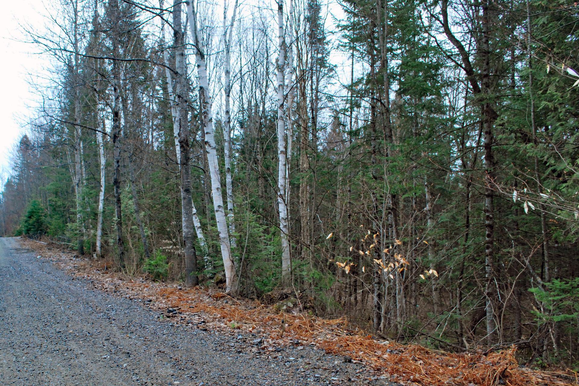 Terre/Terrain