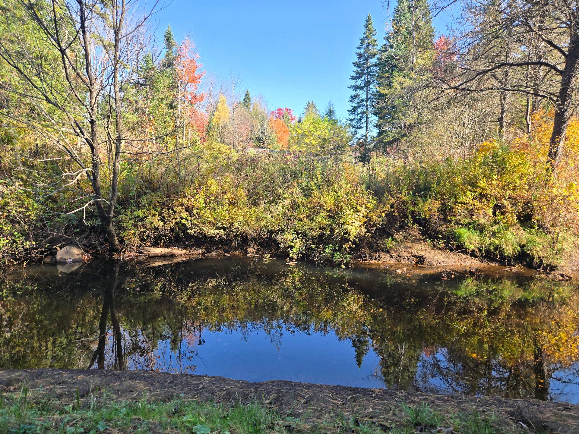 Accès au plan d'eau