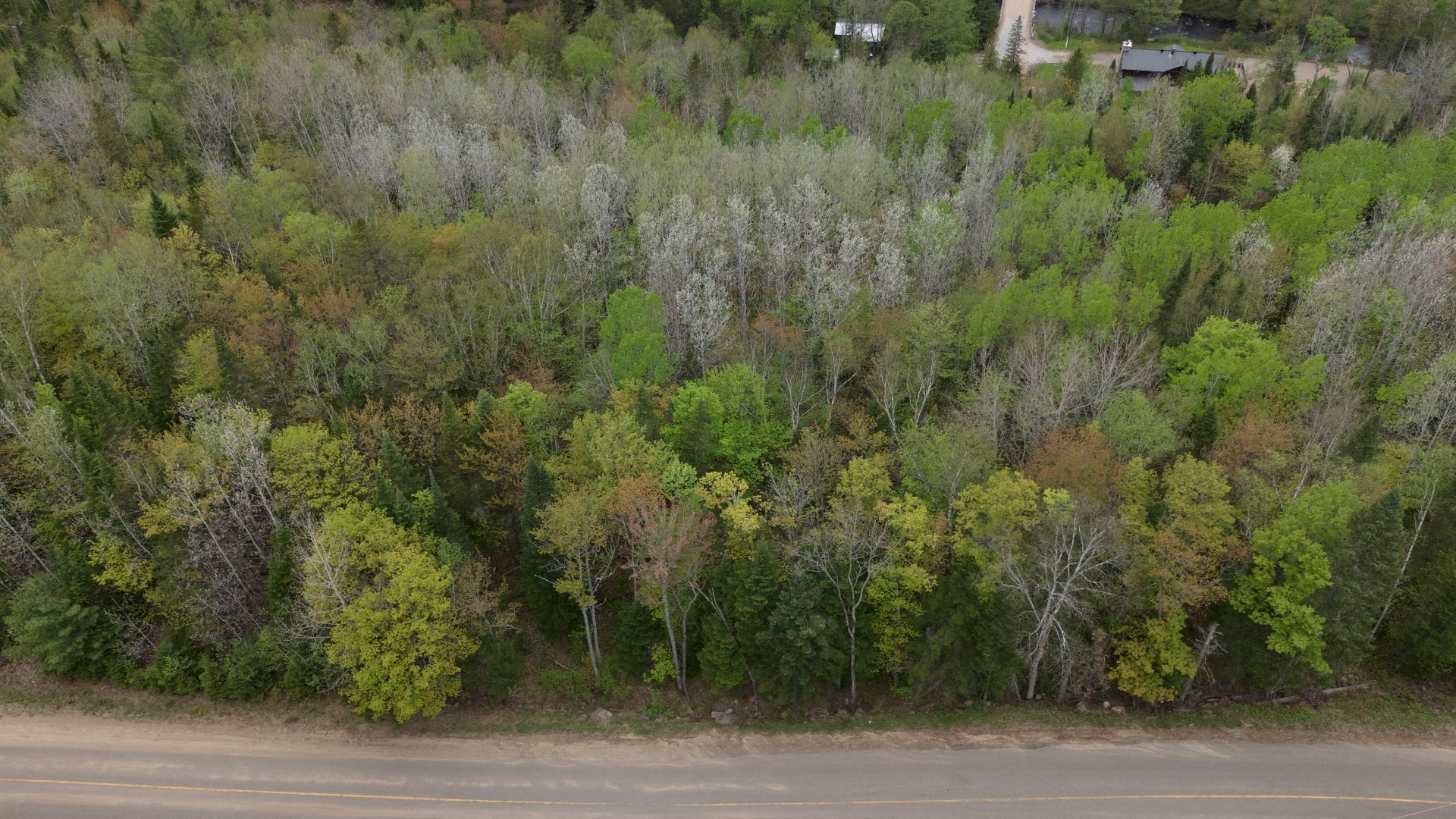 Aerial photo
