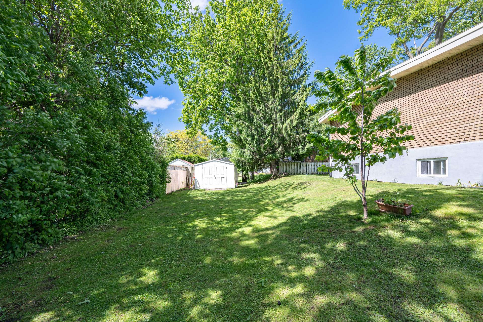 Backyard