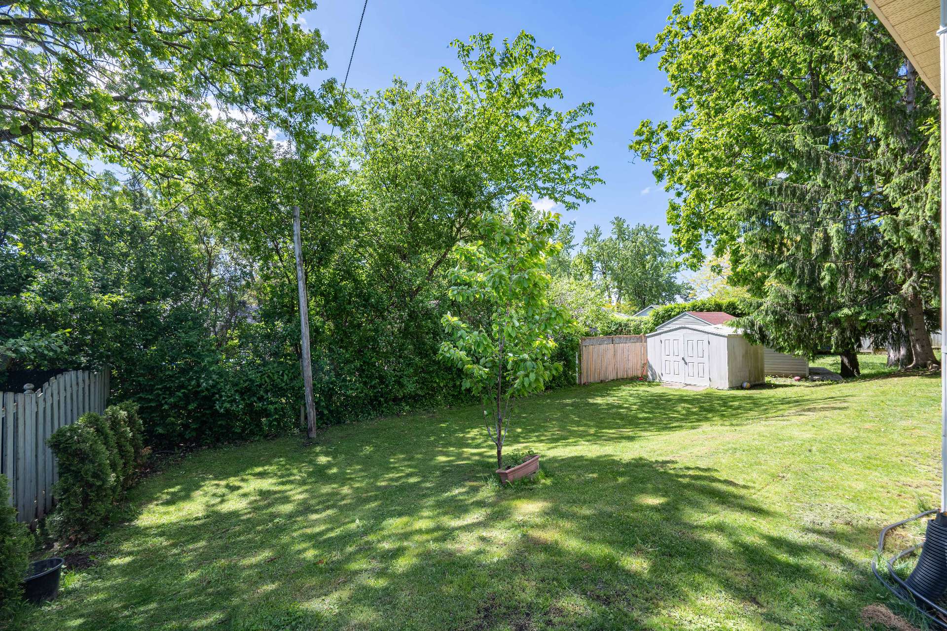 Backyard