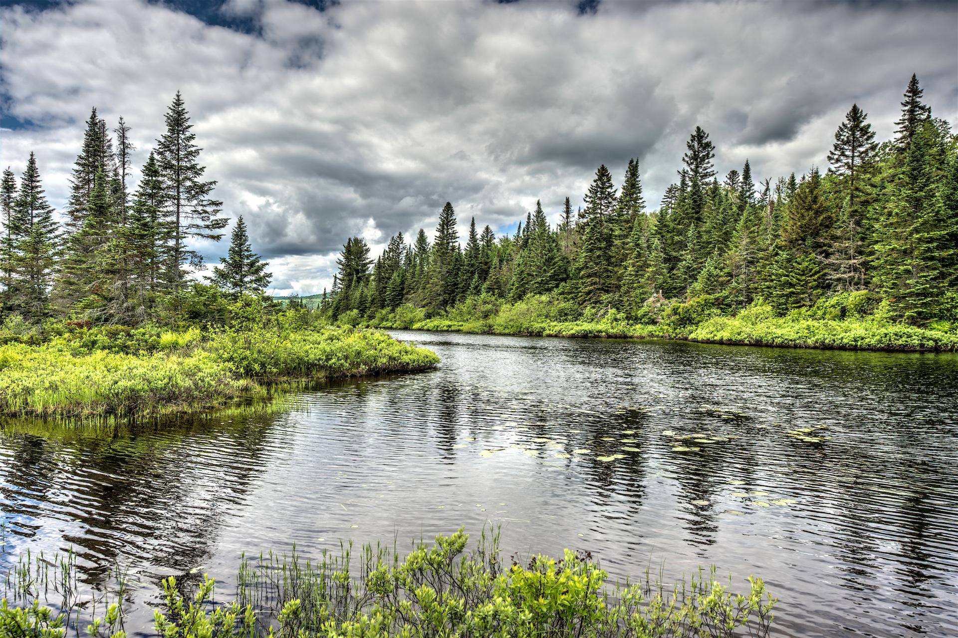 Accès au plan d'eau