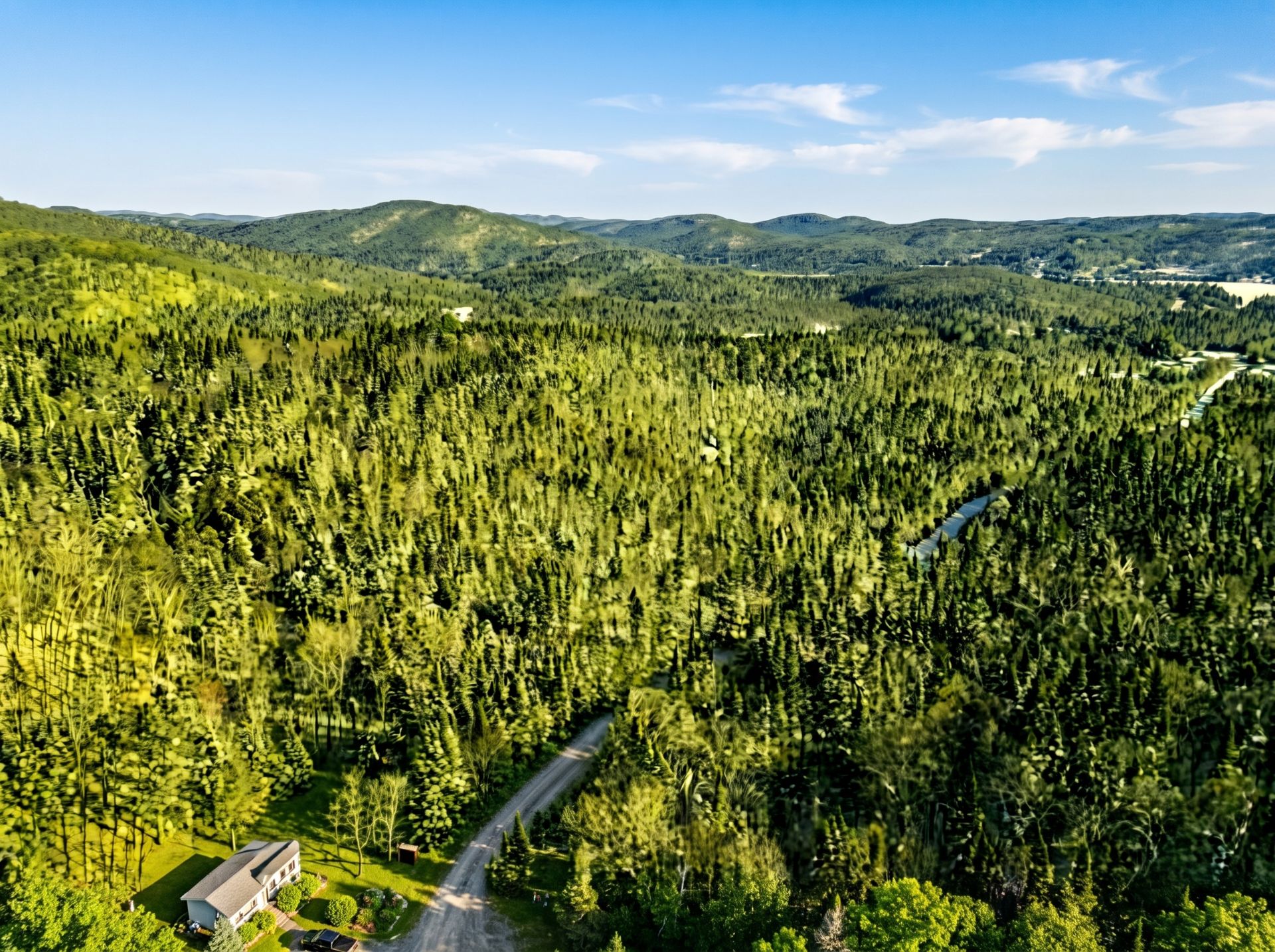 Aerial photo