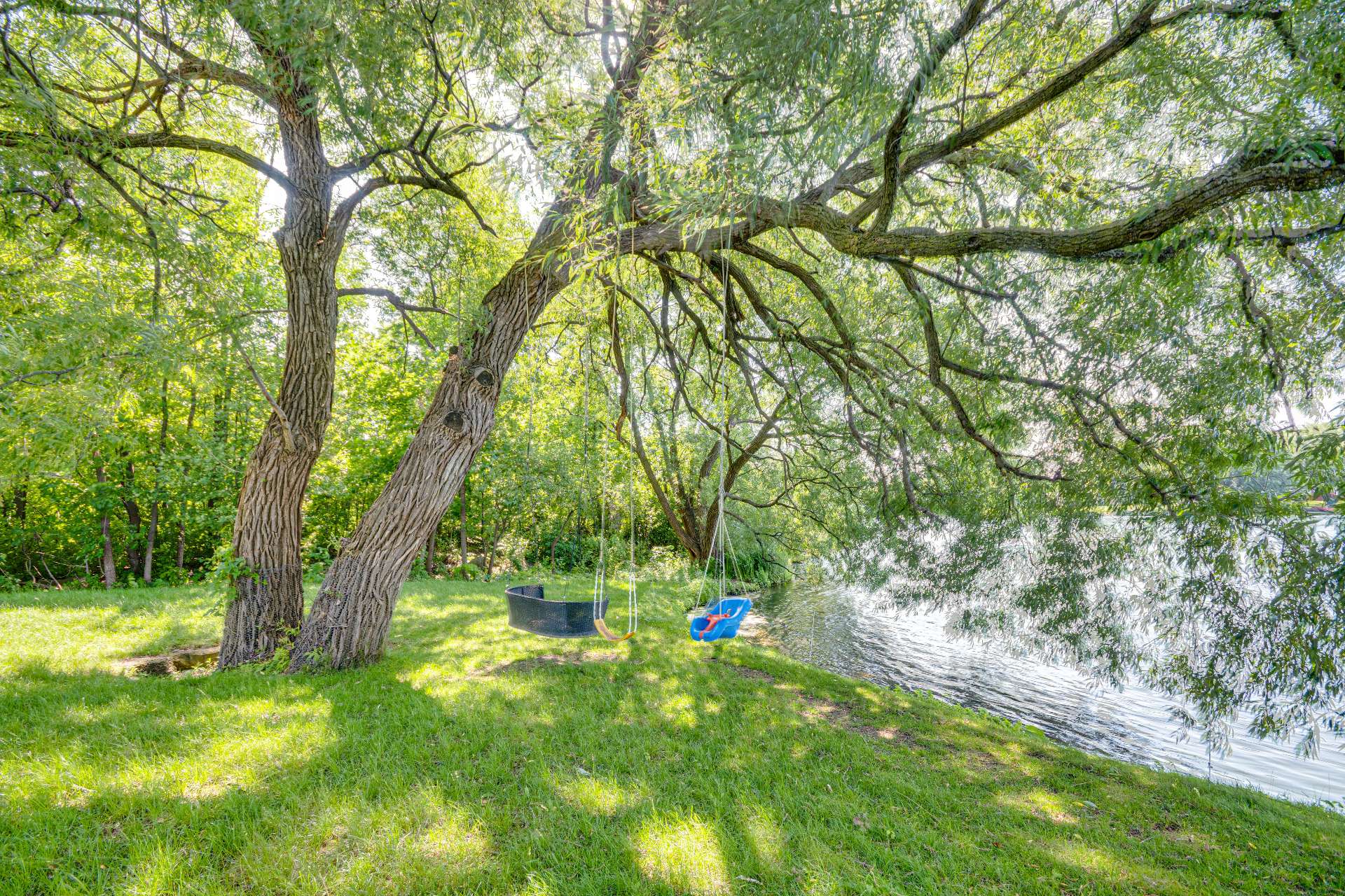 Swing Area