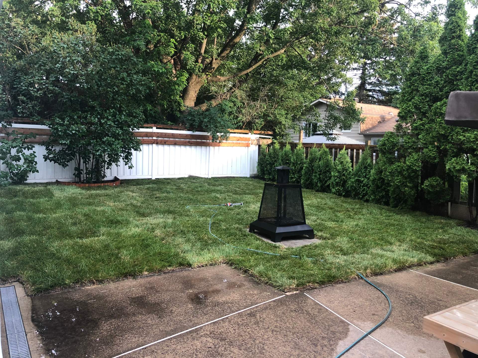 Photo d'été des clients vendeurs