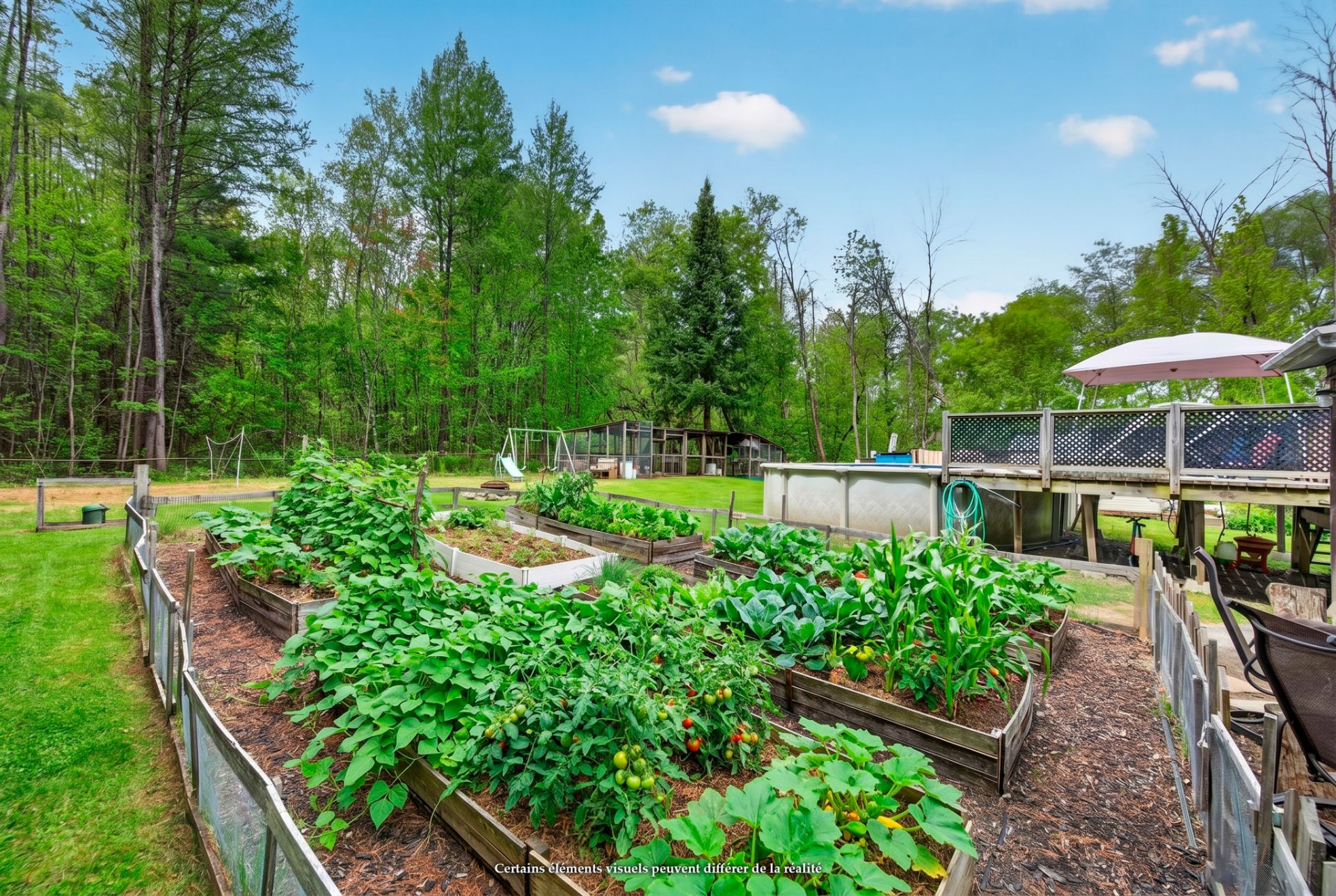 Jardin