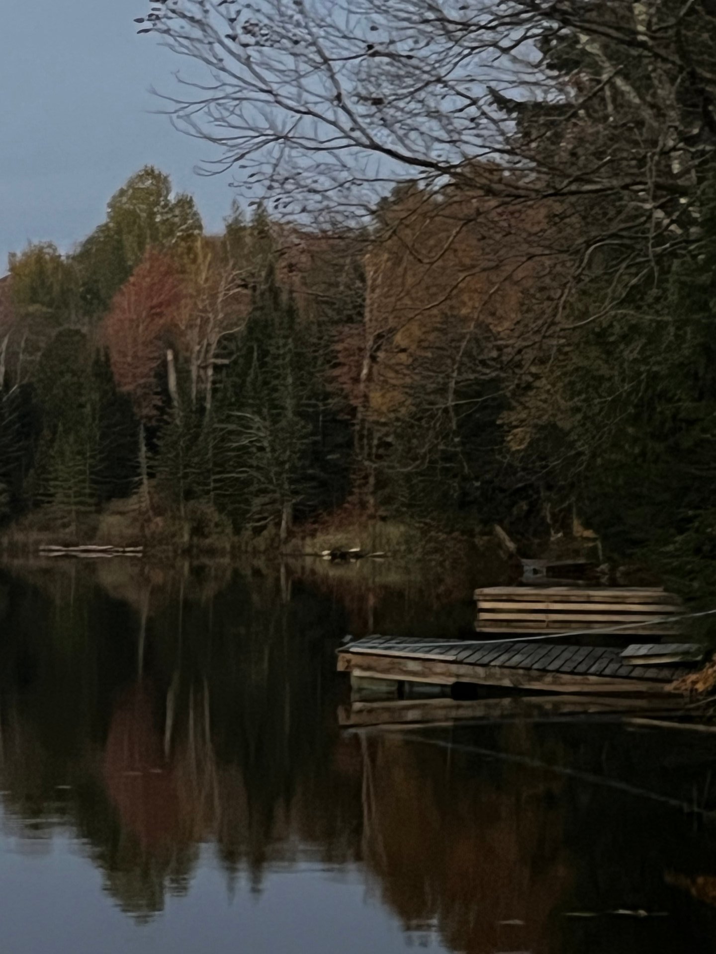 Waterfront