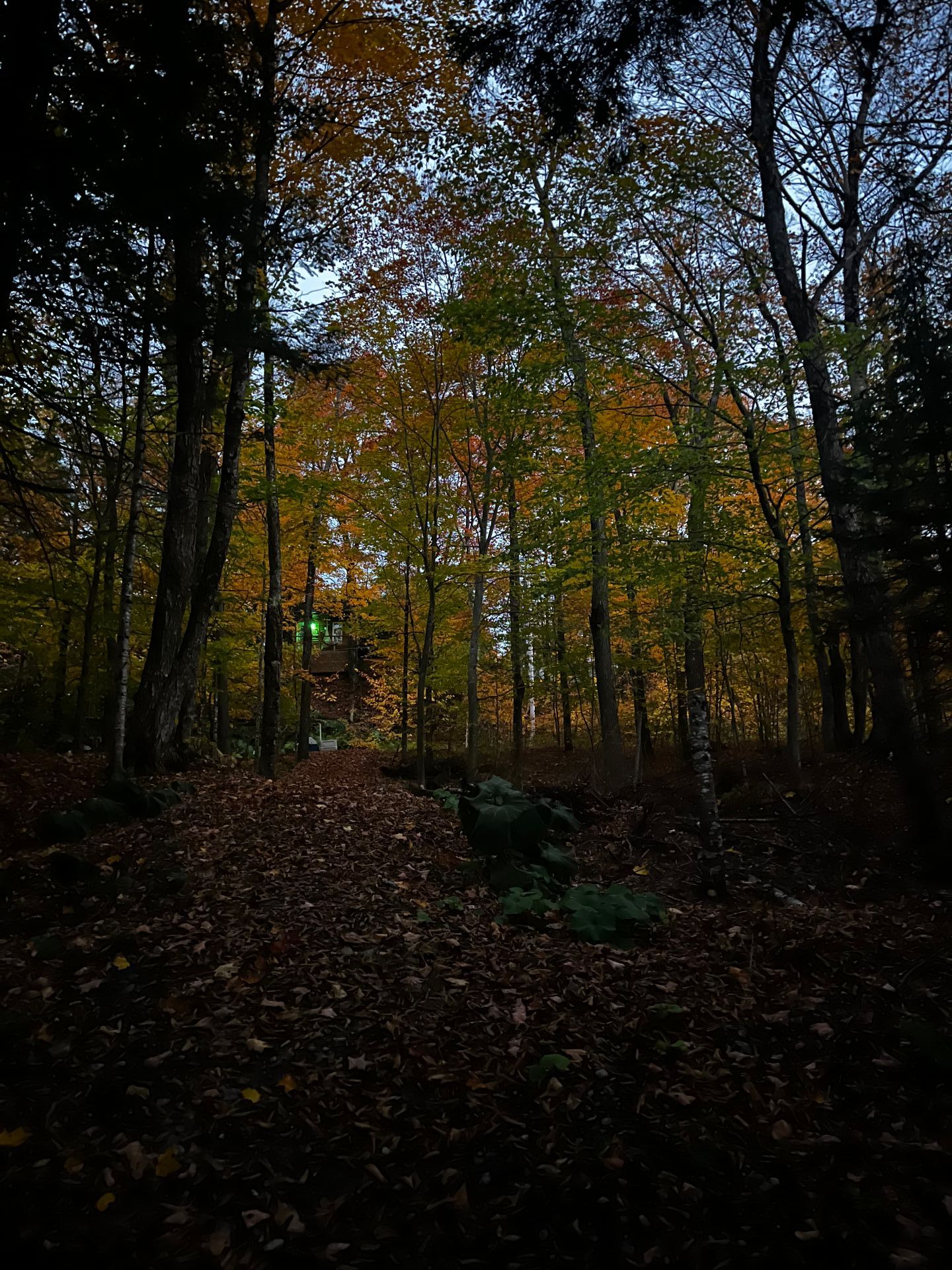 Land/Lot