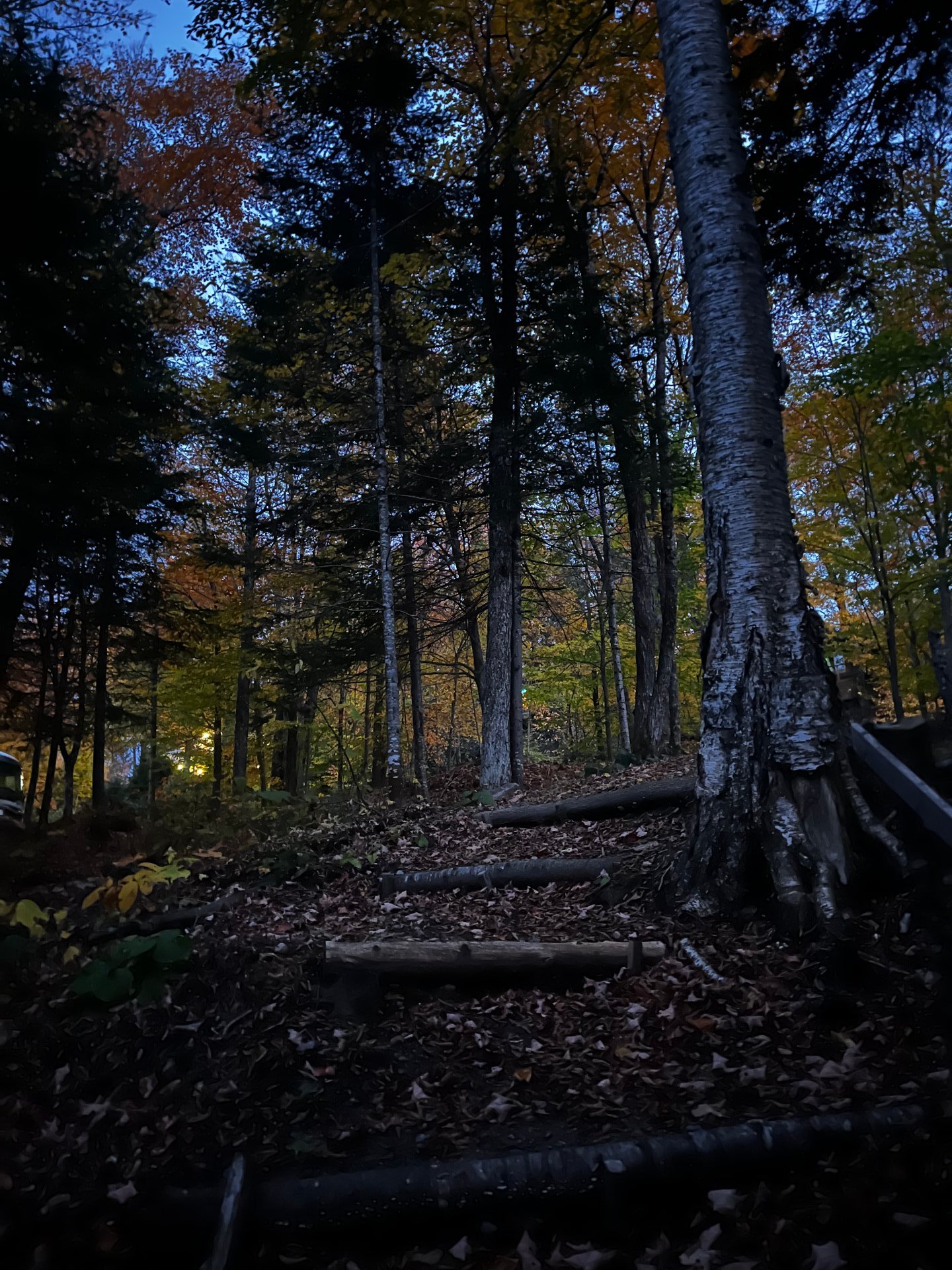 Land/Lot