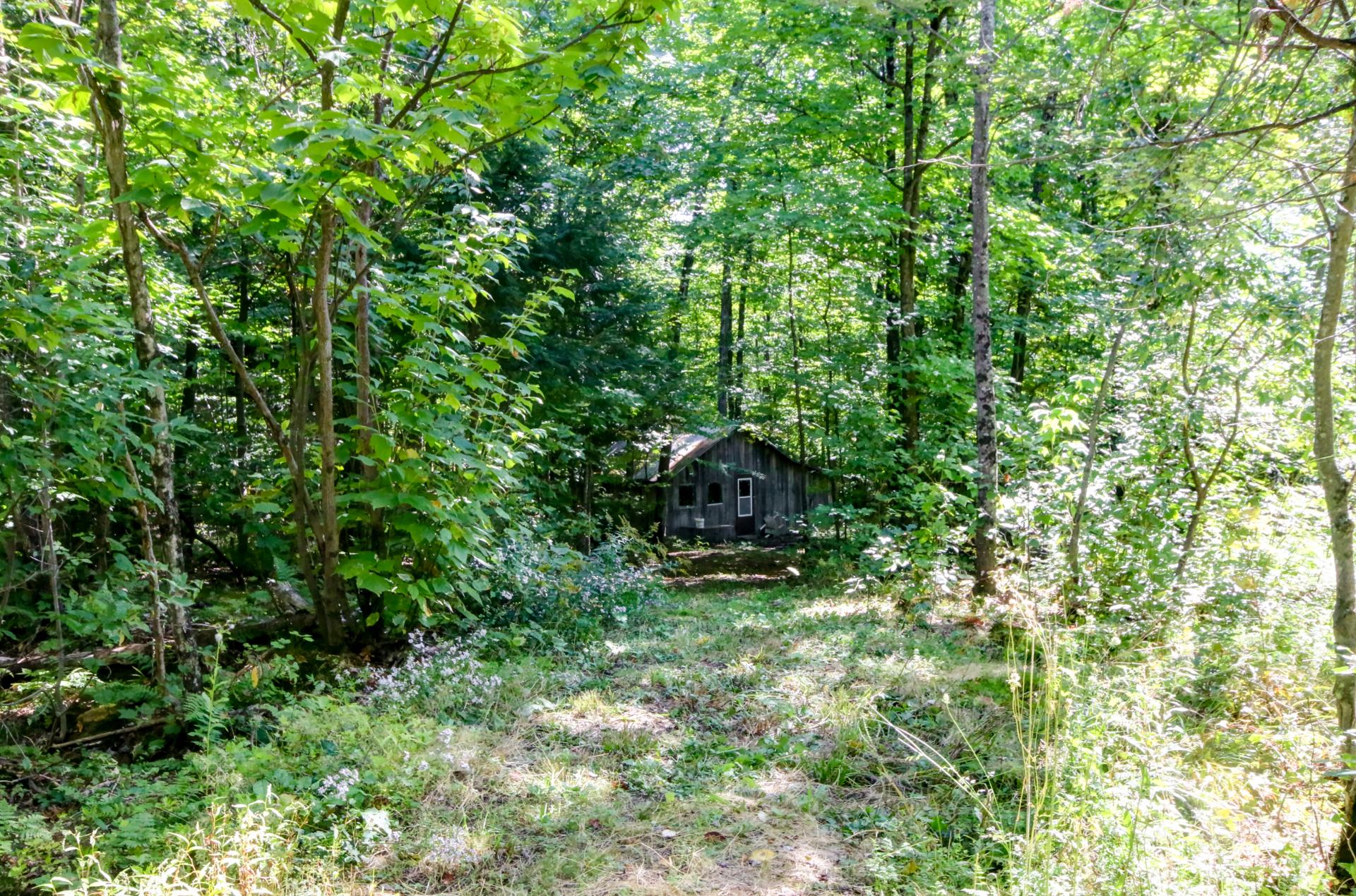 Cabane à sucre