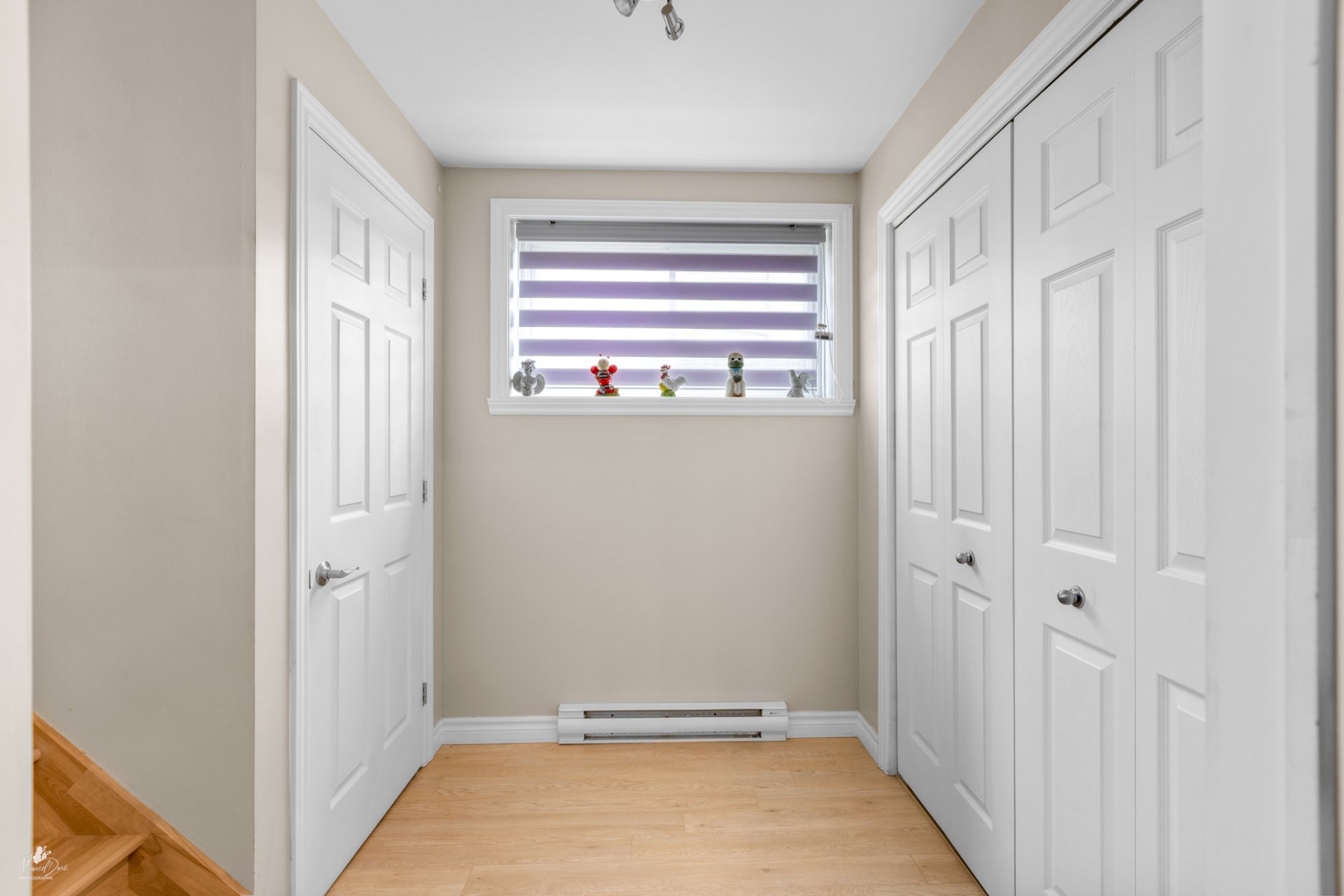 Hall d'entrée/Vestibule