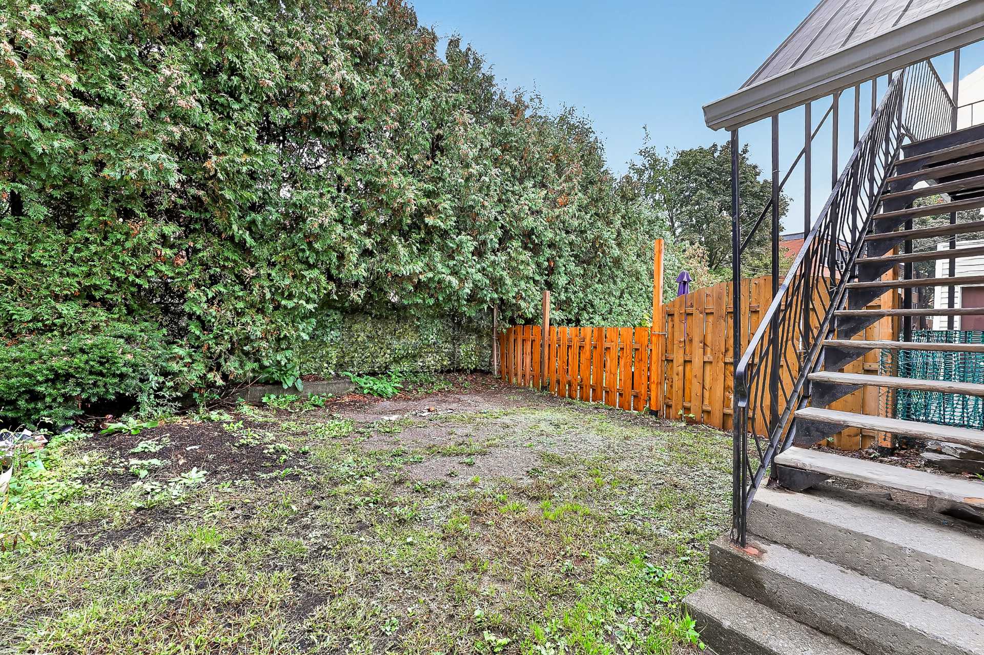 Backyard