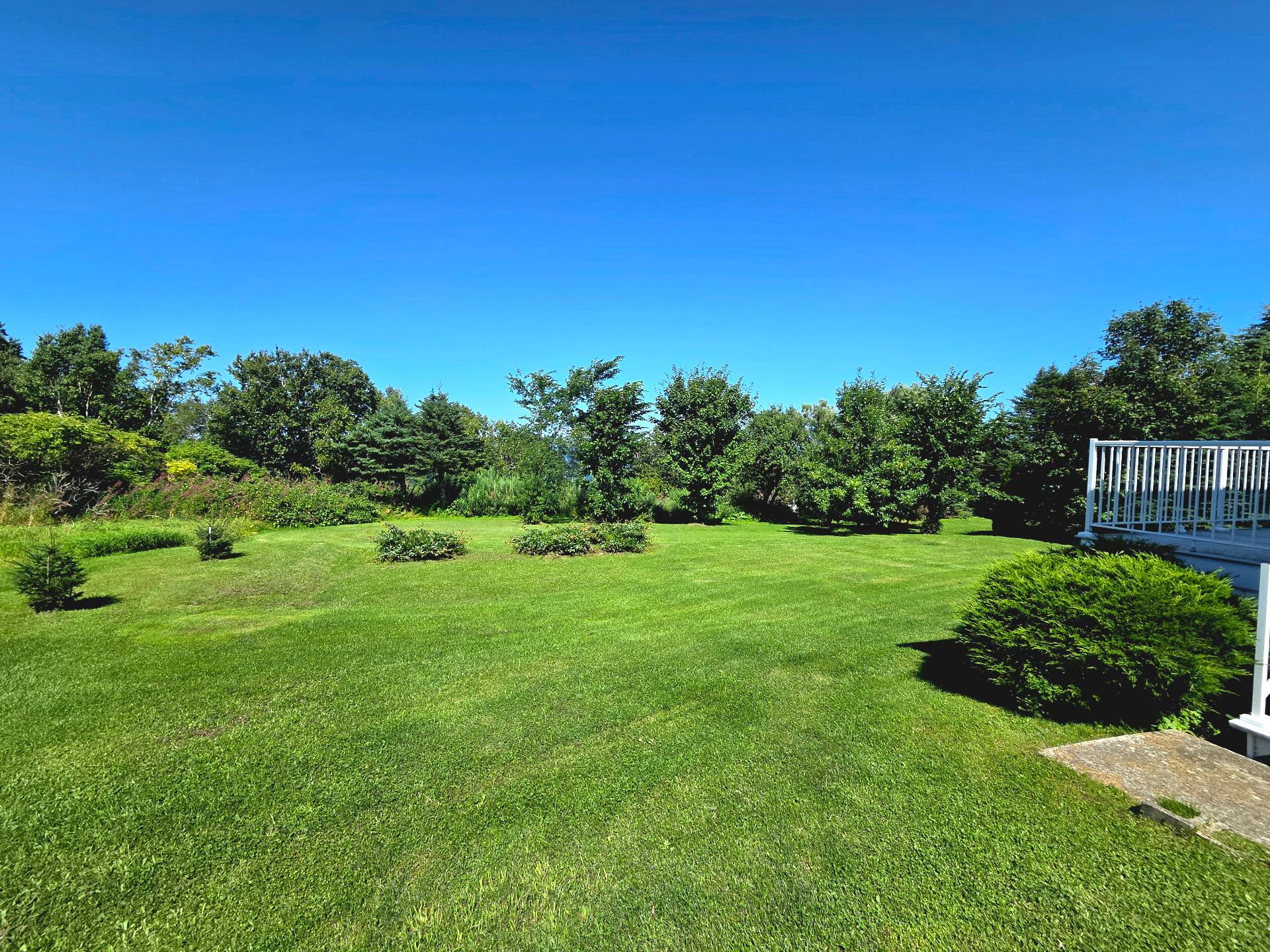 Land/Lot