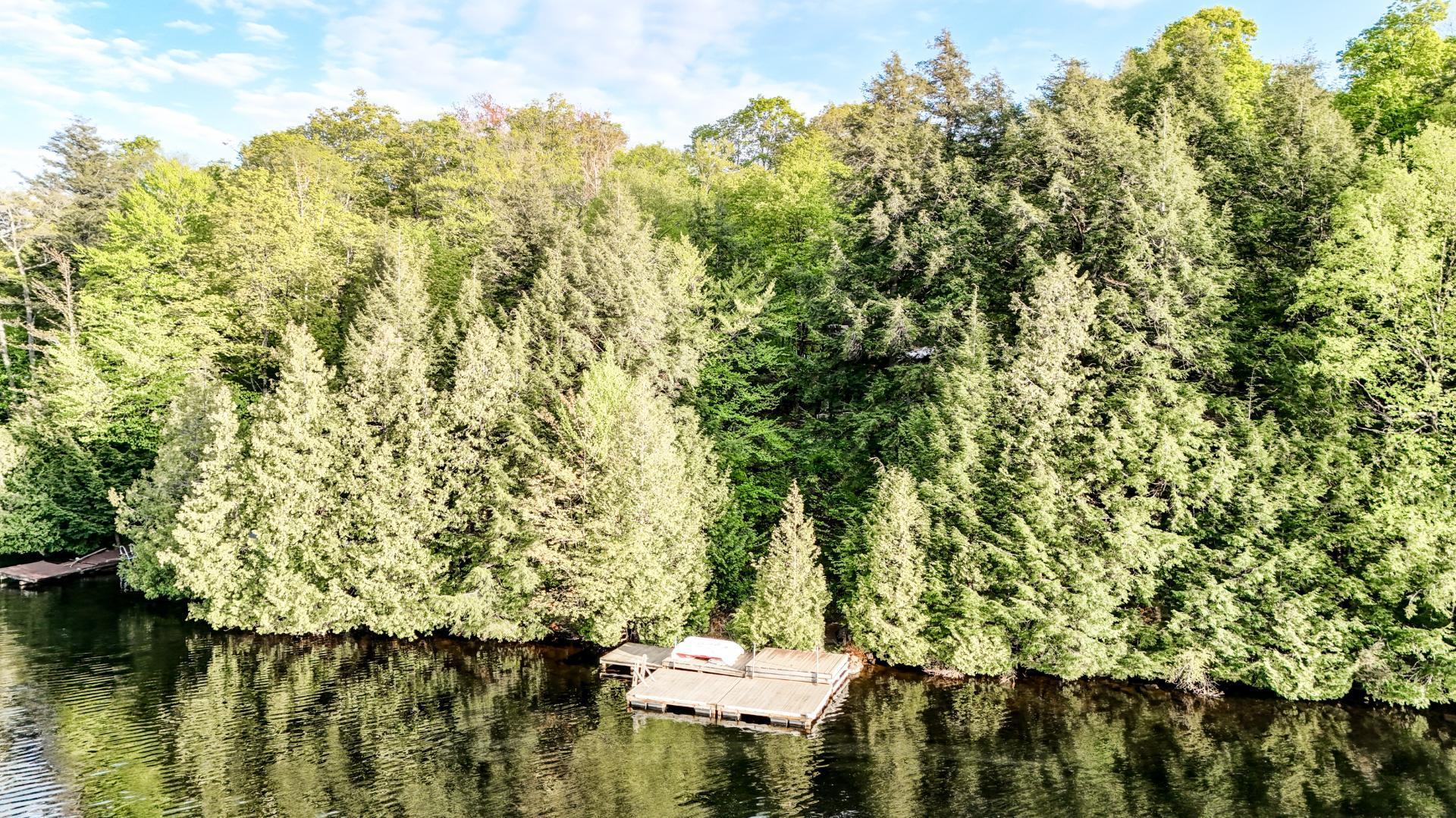 Bord de l'eau