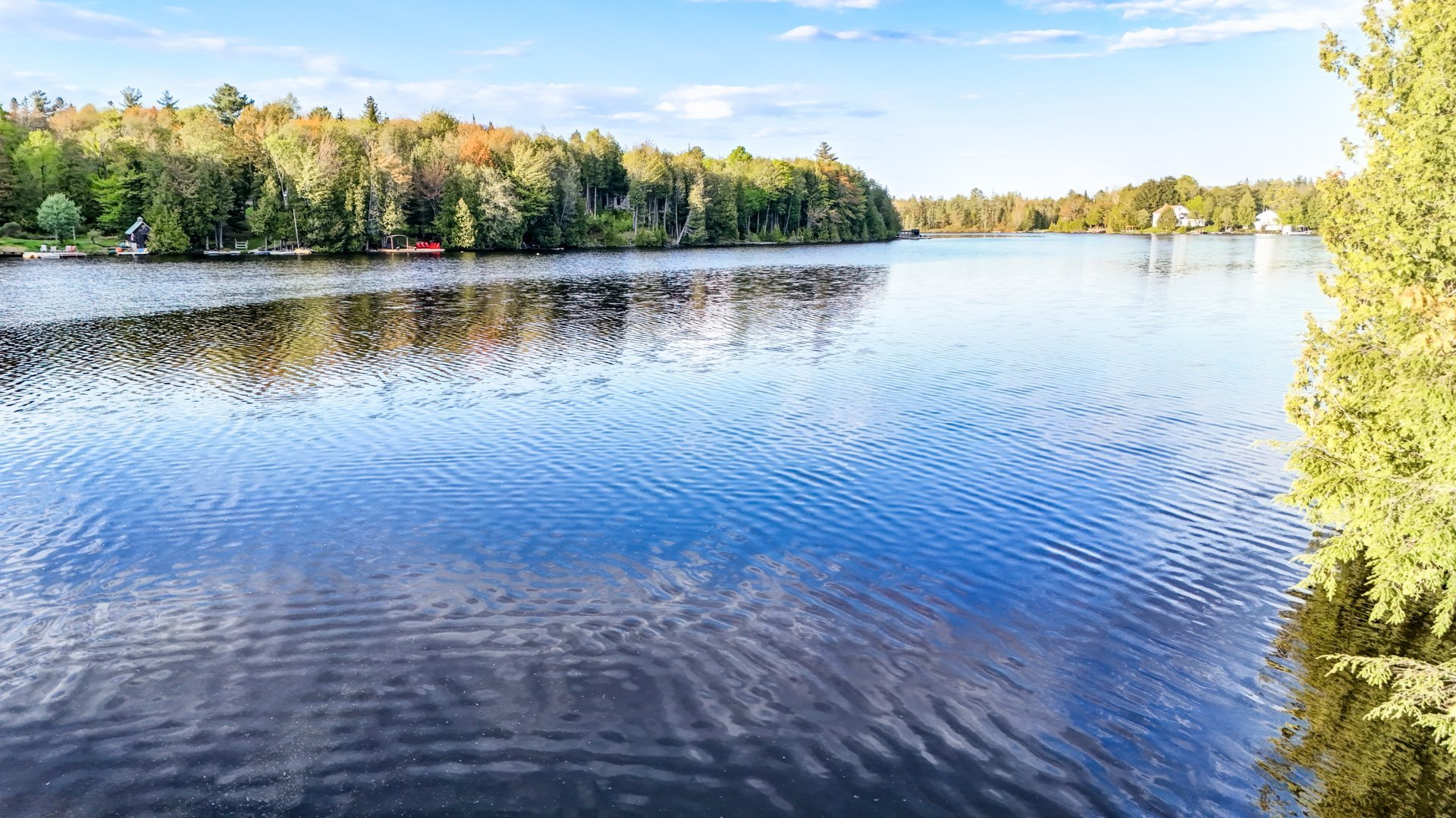 Bord de l'eau