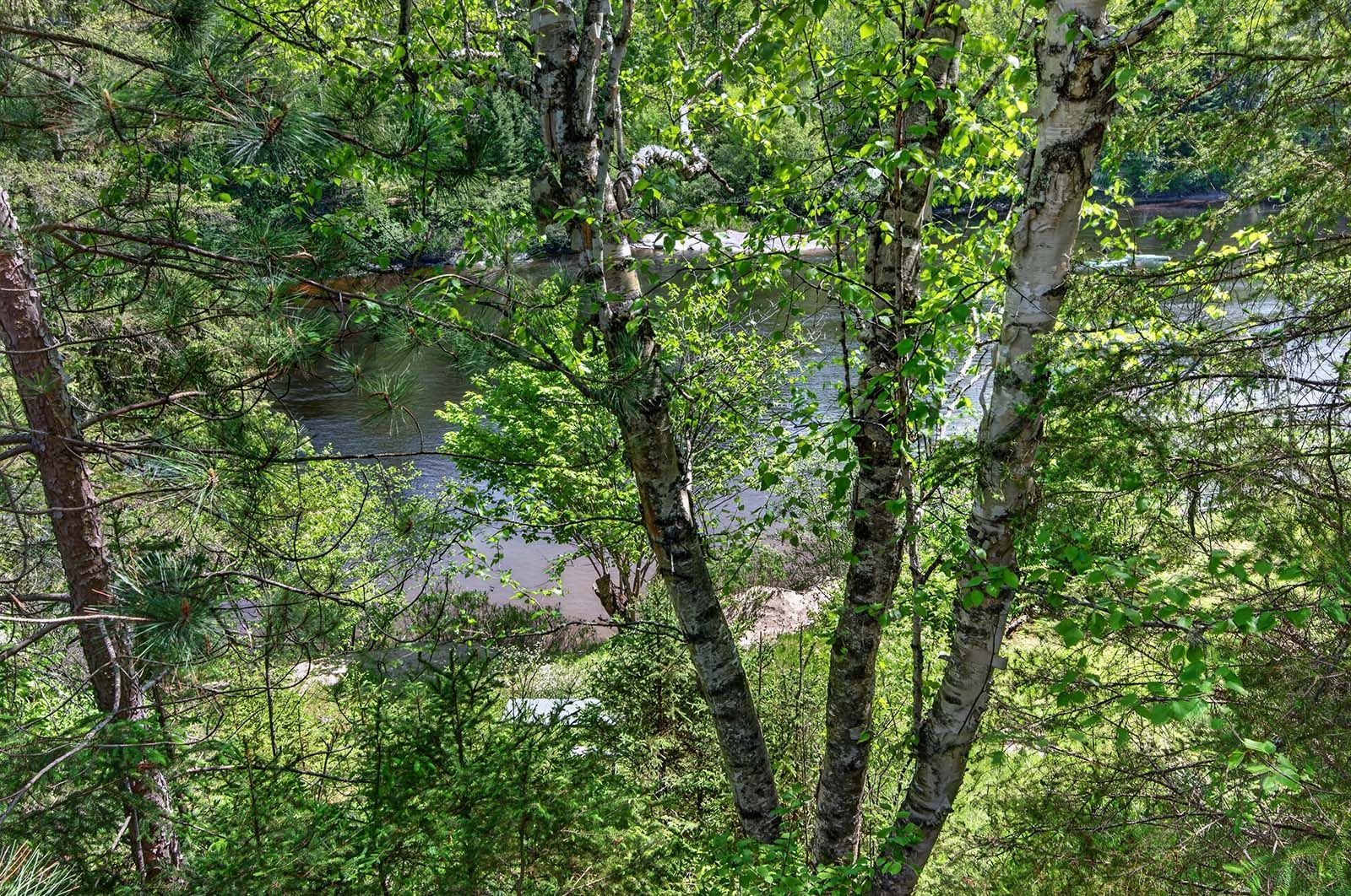 Vue sur l'eau