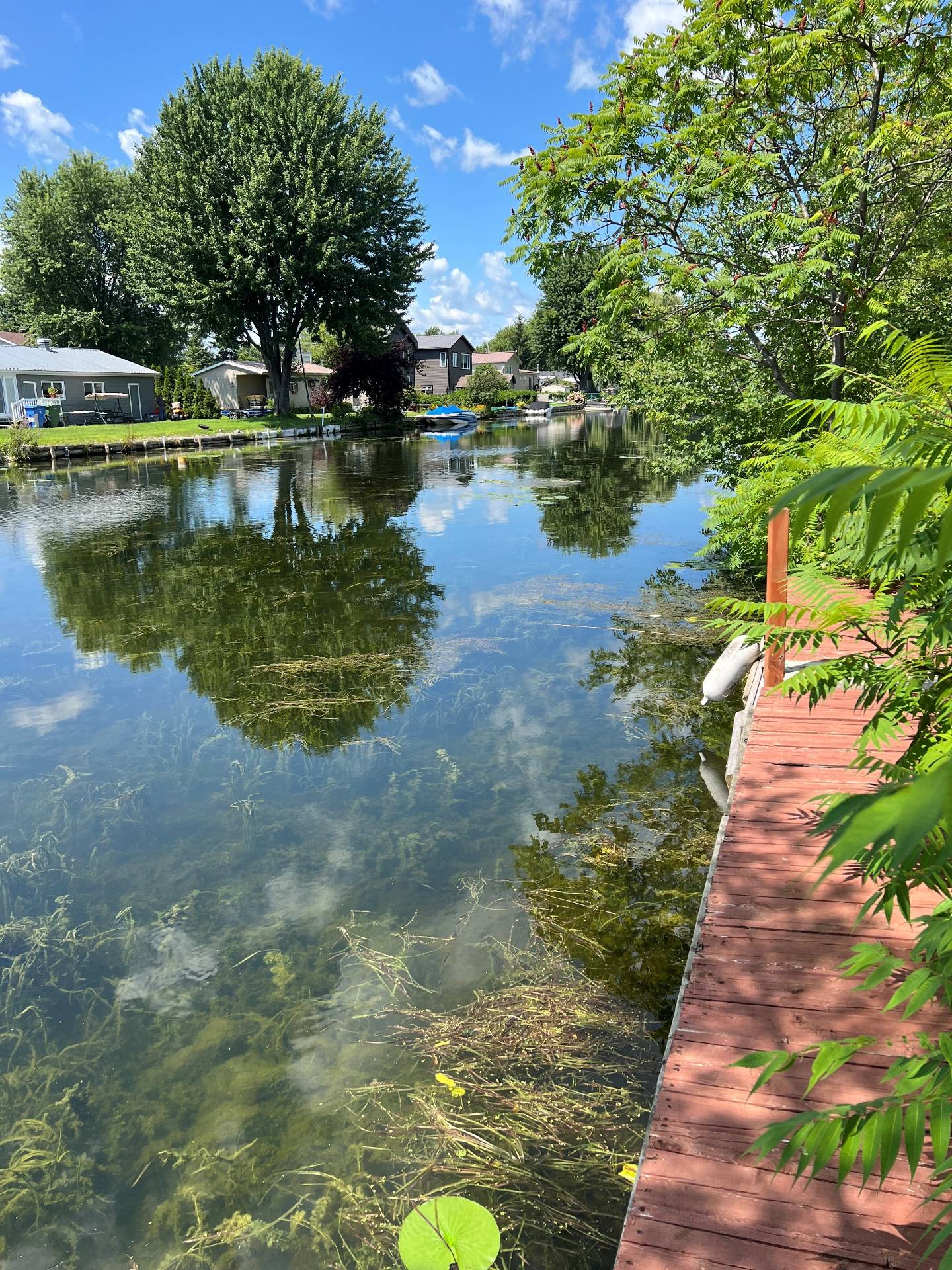 Bord de l'eau