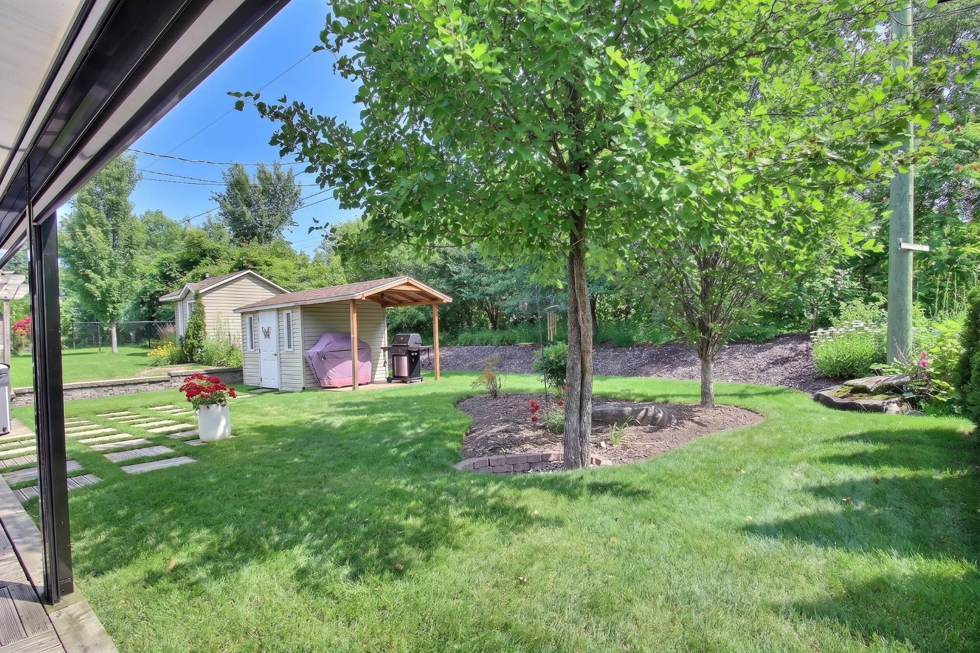 Backyard
